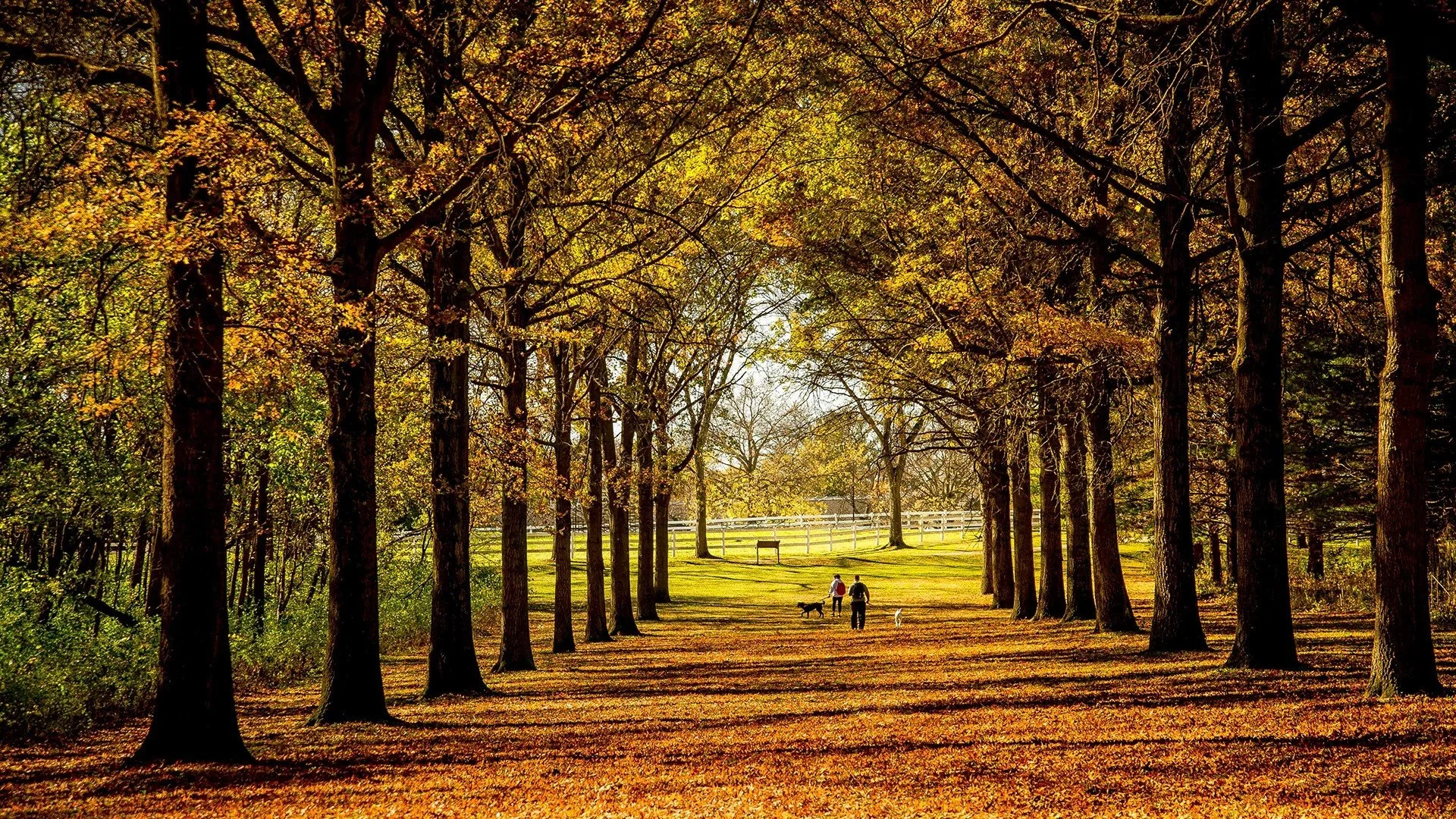 Exploring Five of DuPage County’s Best Forest Preserves by Bicycle