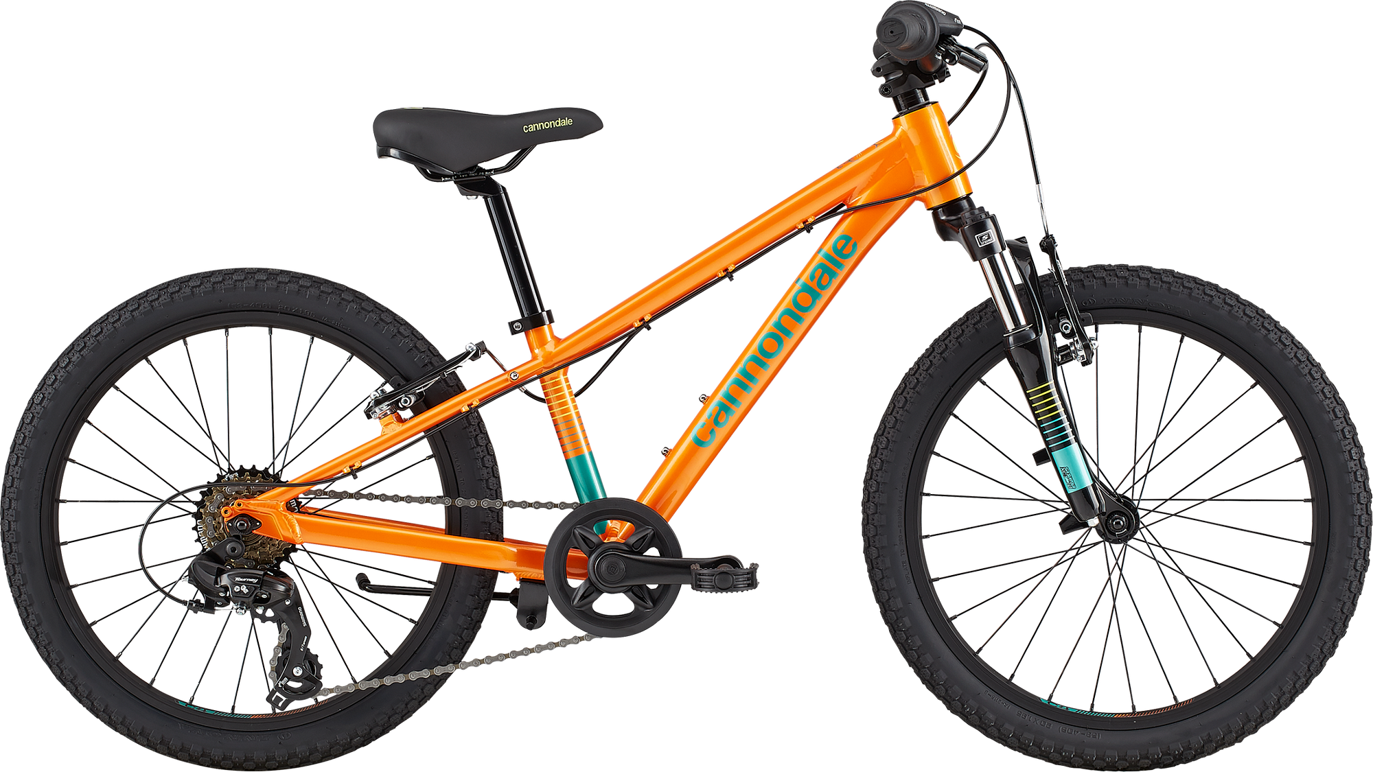 Cannondale Trail 20