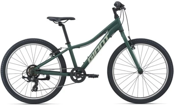 Giant XTC 24
