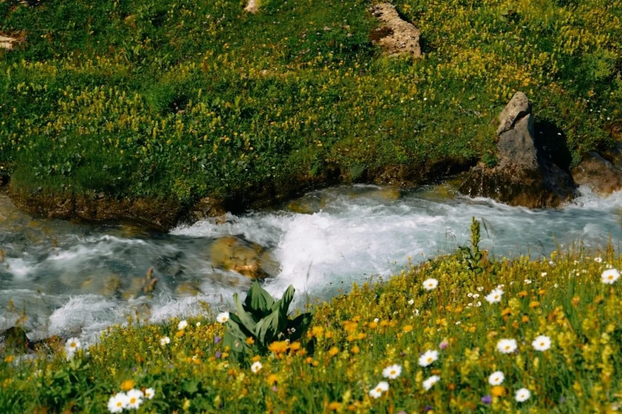 You’re Not Made to Be Alone