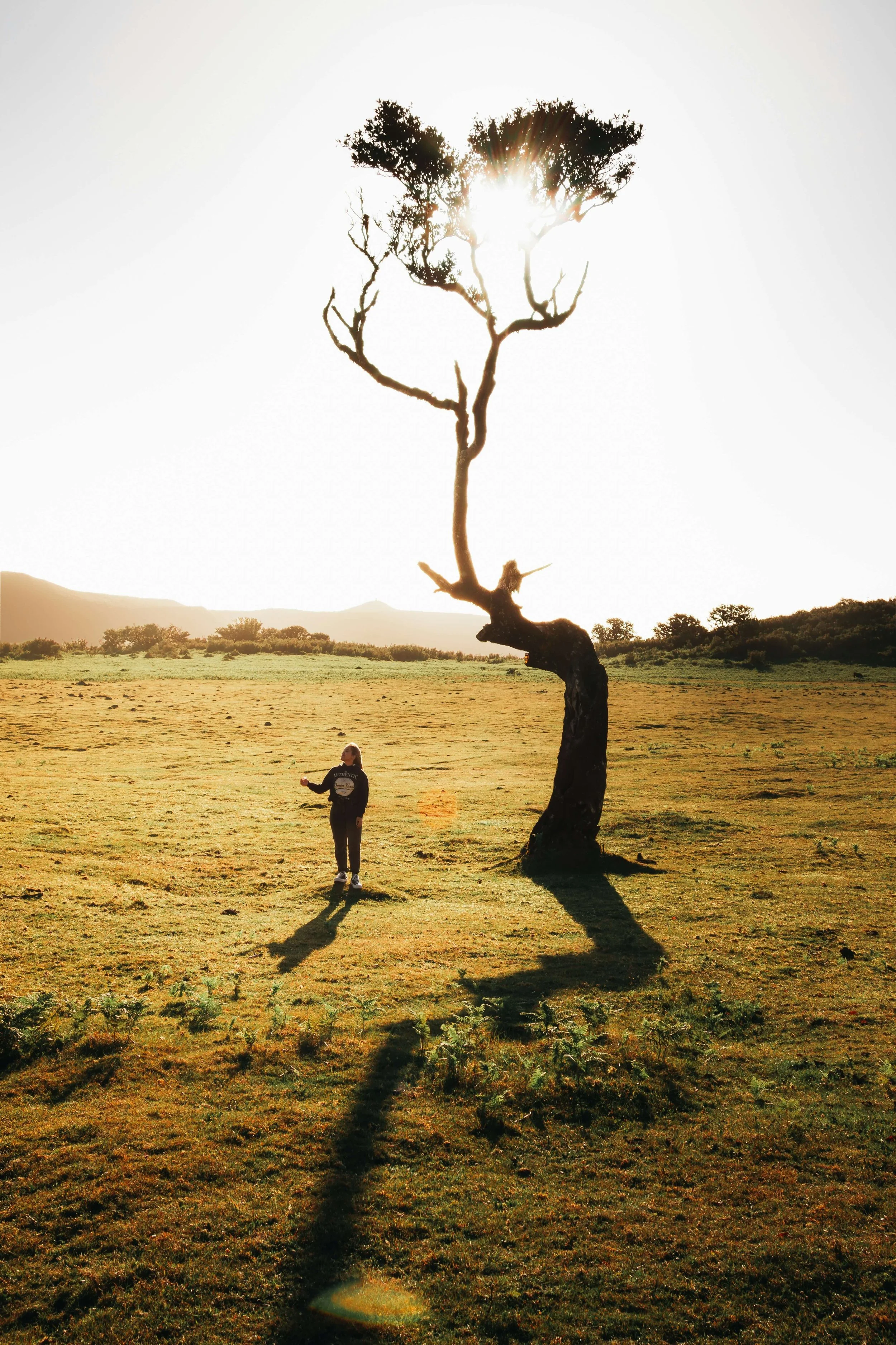 The Way to Wide-Open Space