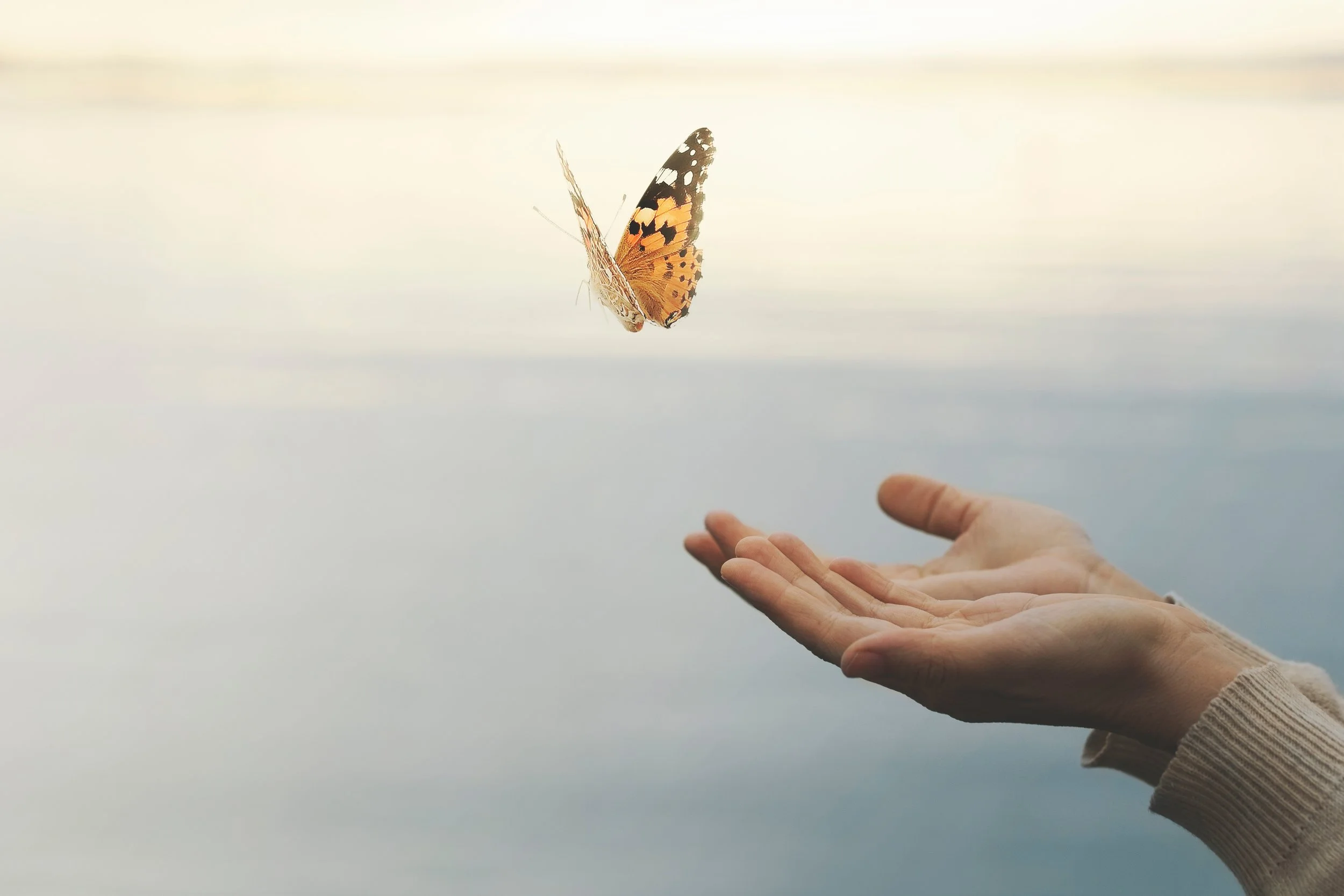 How Joy Is for You