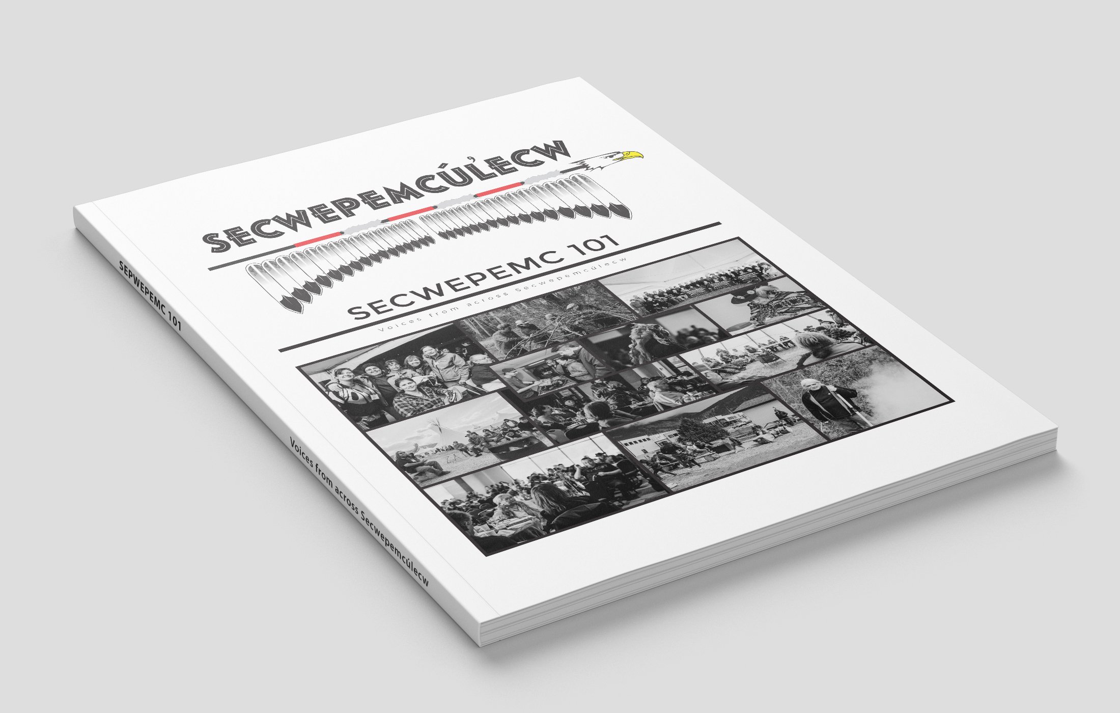 SECWEPEMC 101 | Voices from across Secwepemculecw. Layout and Design.
