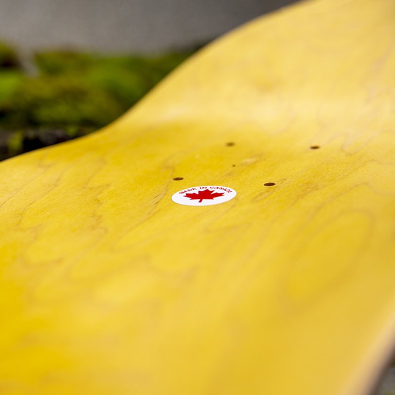 Brass Monkeys Skateboards, designed and manufactured in Canada.