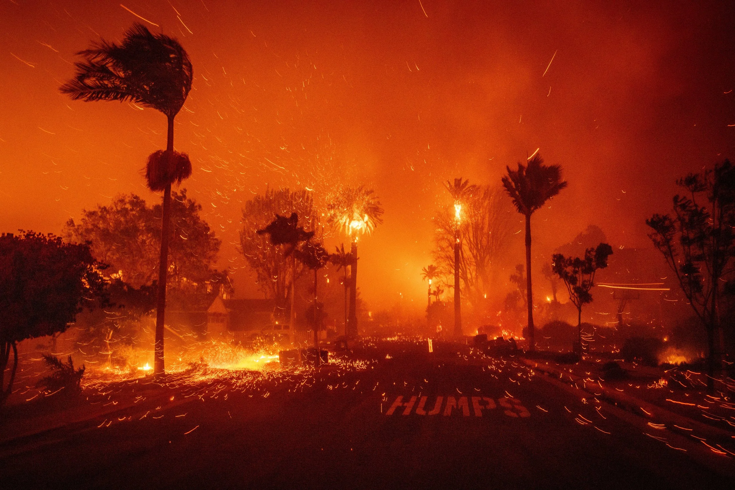 A large wildfire burning in a forest with tall palm trees, glowing orange flames, and sparks flying through the air.