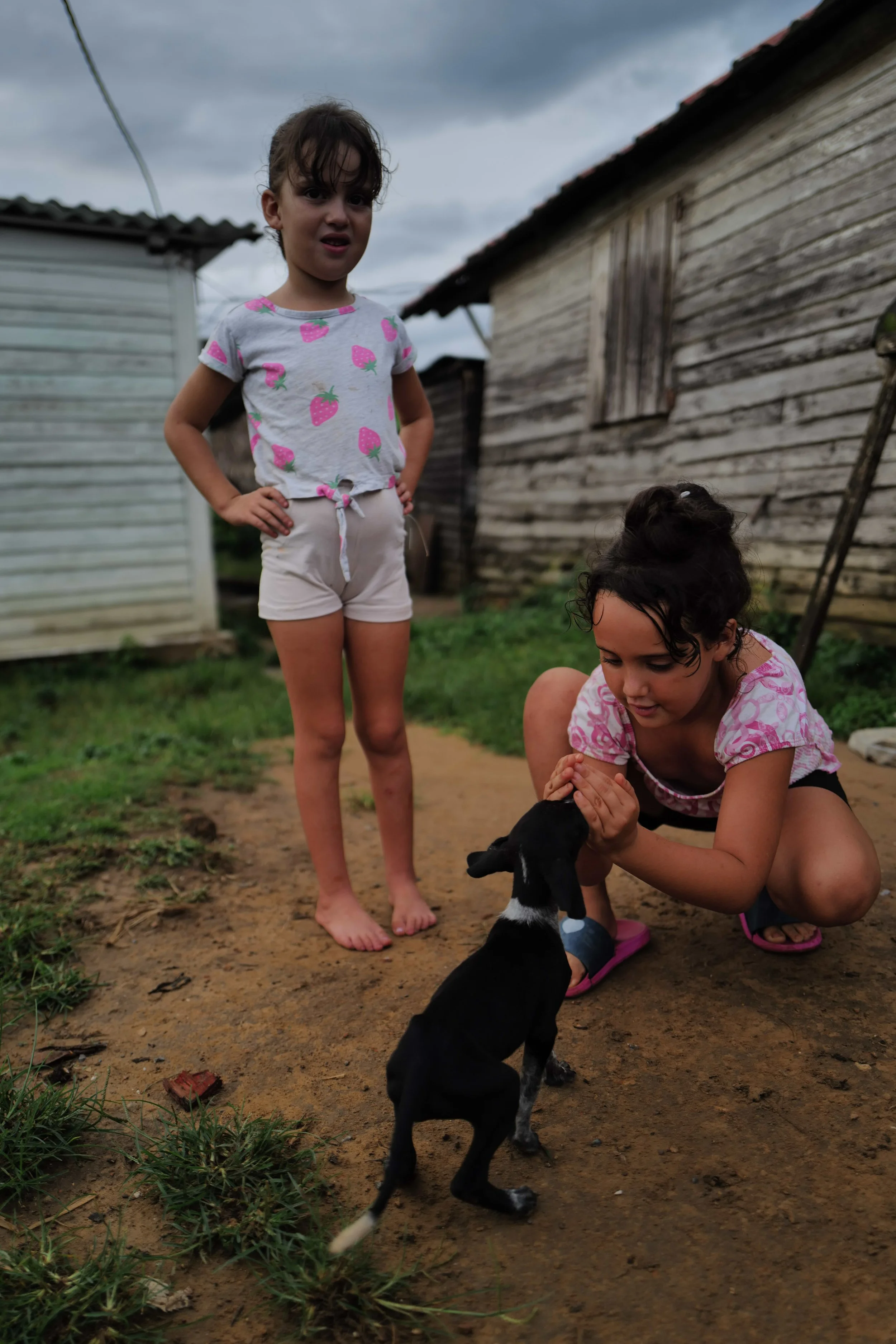 Two young girls are playing outside on a dirt path with a small black and white puppy. One girl is standing, with her hands on her hips, wearing a T-shirt with strawberries and shorts. The other girl is crouched down, gently holding the puppy's face,