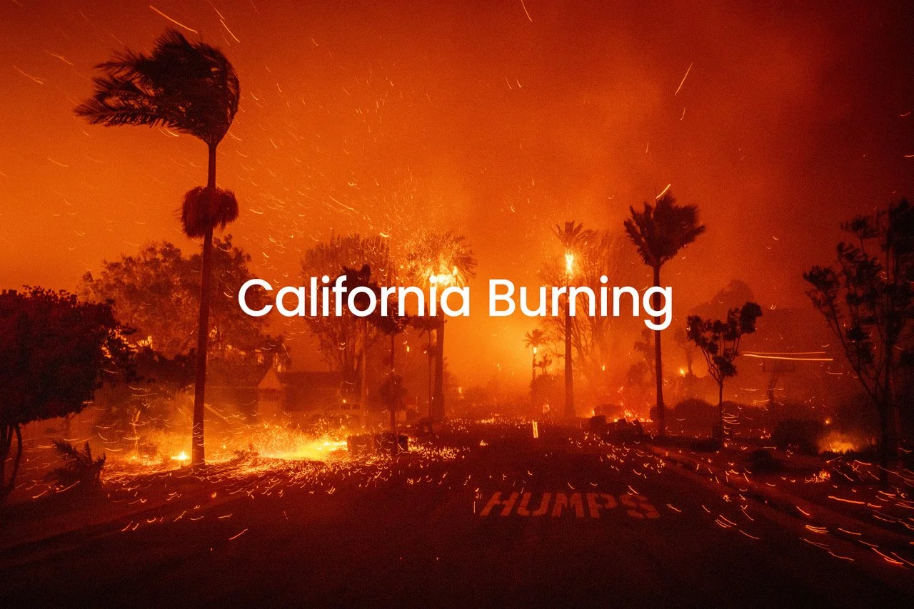 A wildfire burning in California with trees and flames, and sparks flying through the air.