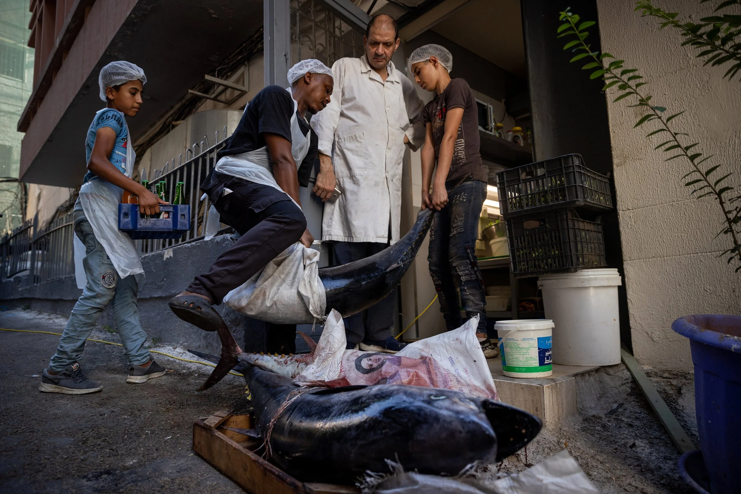 Four people, including two children, are preparing to transport a large fish, possibly a shark, outside a building. The adults are handling the fish, while the children watch. All are wearing hair nets and the fish is being placed into a sack.