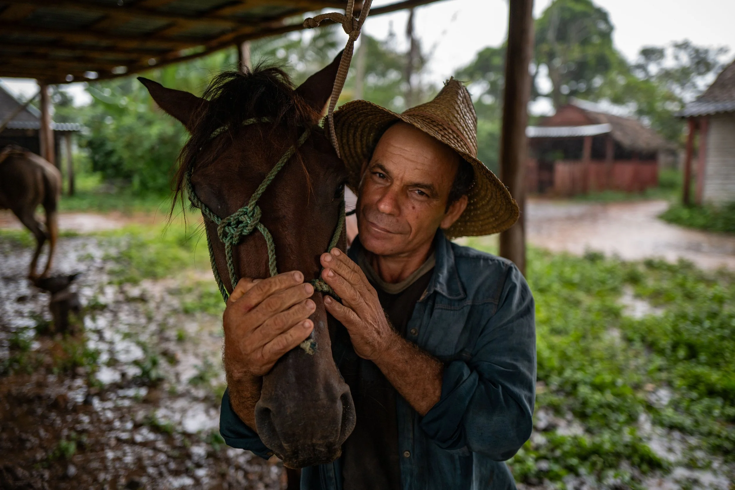 A man in a wide-brimmed straw hat holds a brown horse under a covered outdoor shelter with trees and buildings in the background.