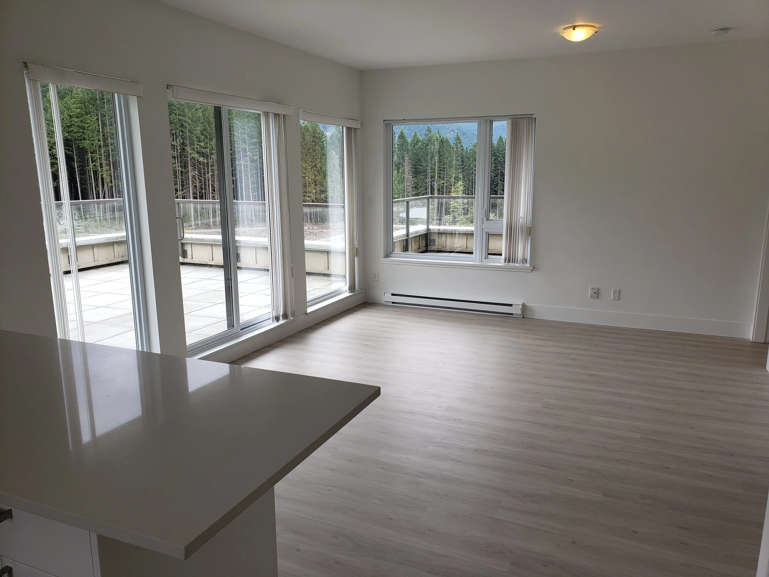 20190629_125635 (1).jpeg