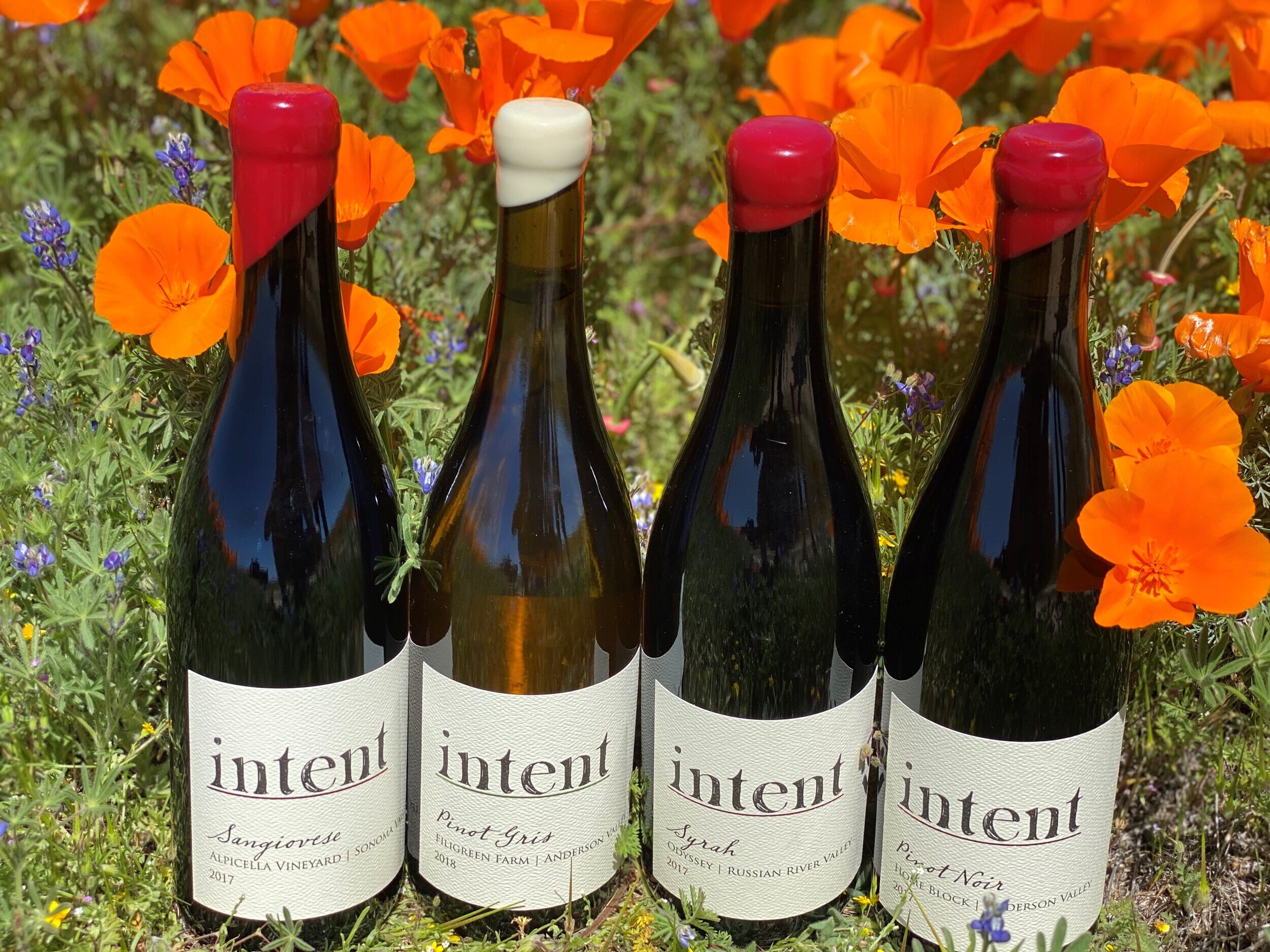 unfined and unfiltered. natural winemaking