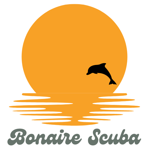 Bonaire Scuba &amp; Island Activities