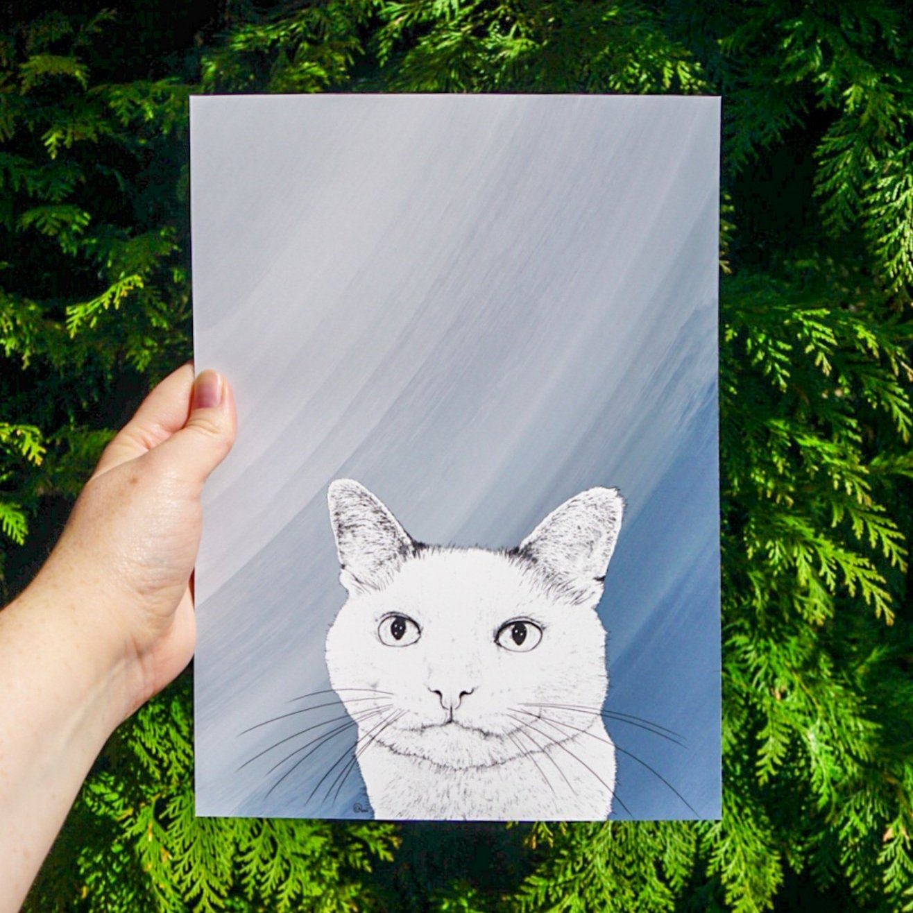 Custom Pet Illustration of a Cat