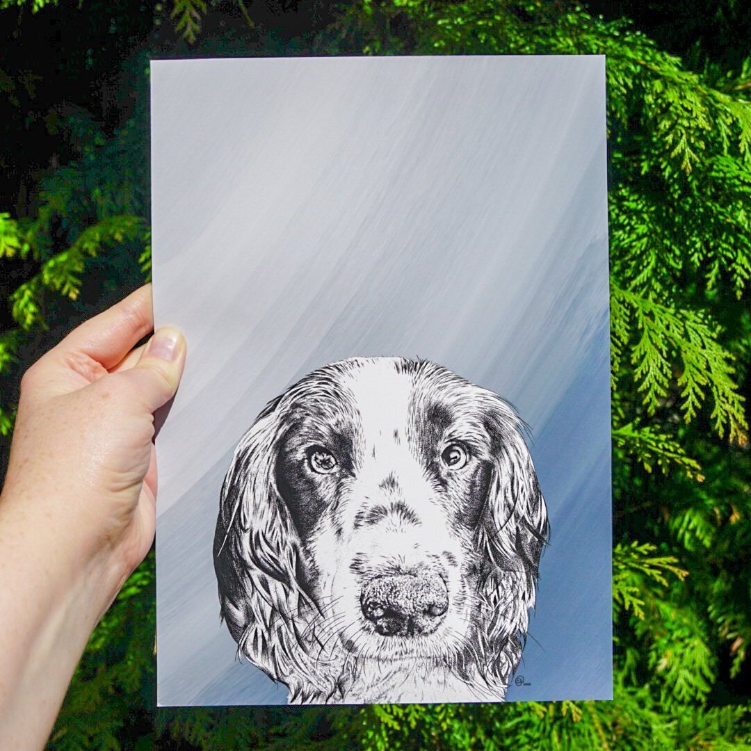 Custom Pet Illustration of a Spaniel