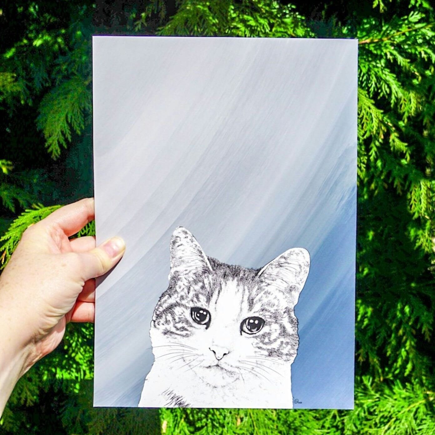 Custom Pet Illustration of a Cat
