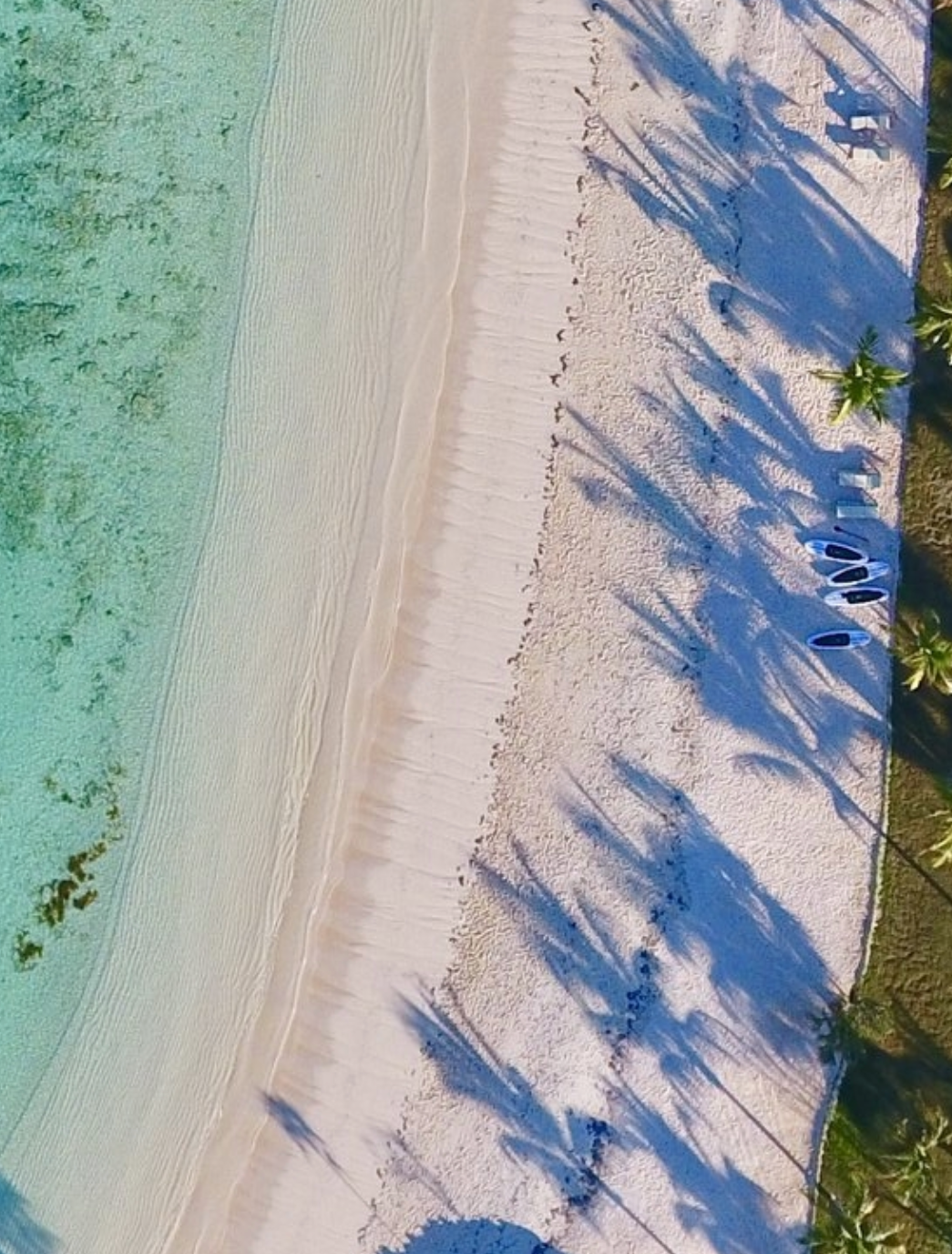 beach.png