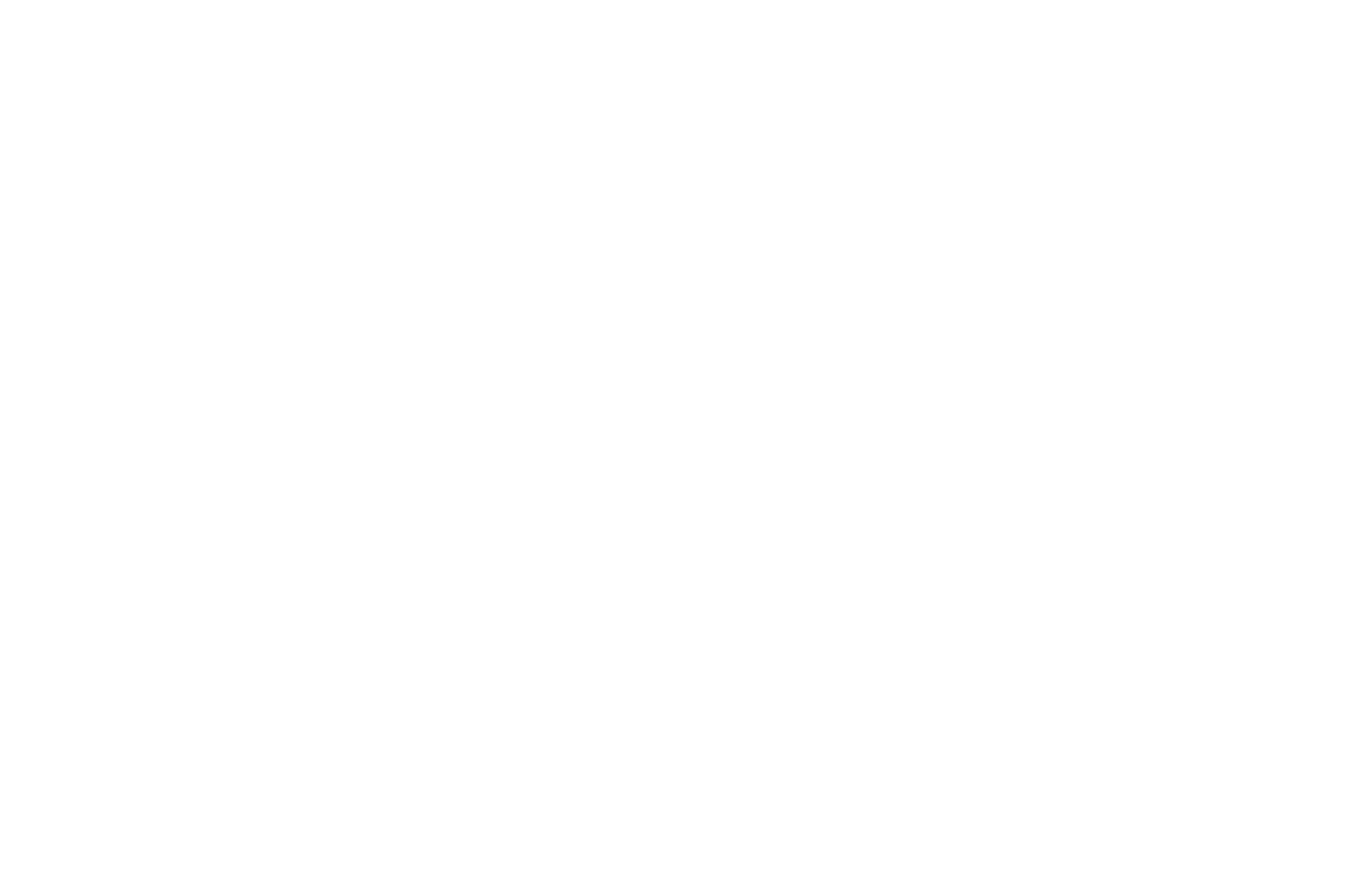 Casey and Cate Logo.png