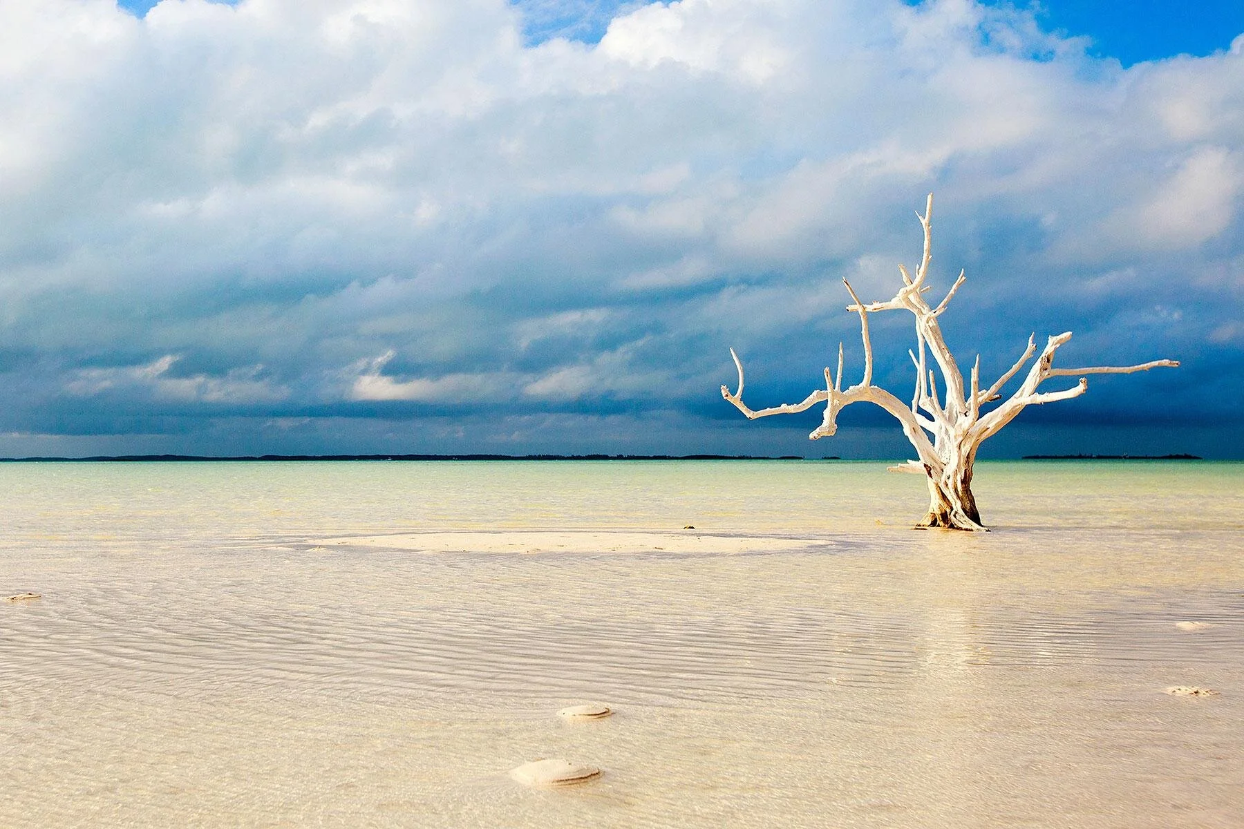 Ultimate-Things-To-Do-Bahamas-Harbour-Island.jpg