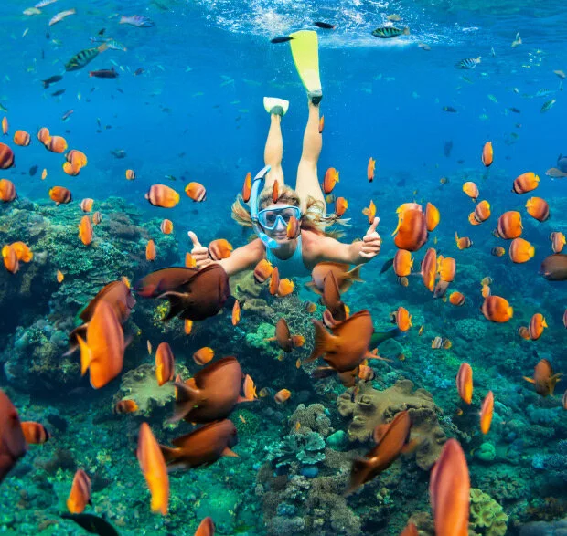 snorkle.jpg