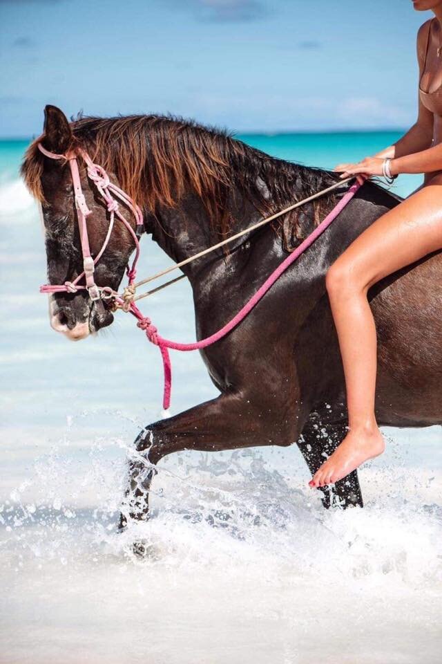 beach horse.jpg