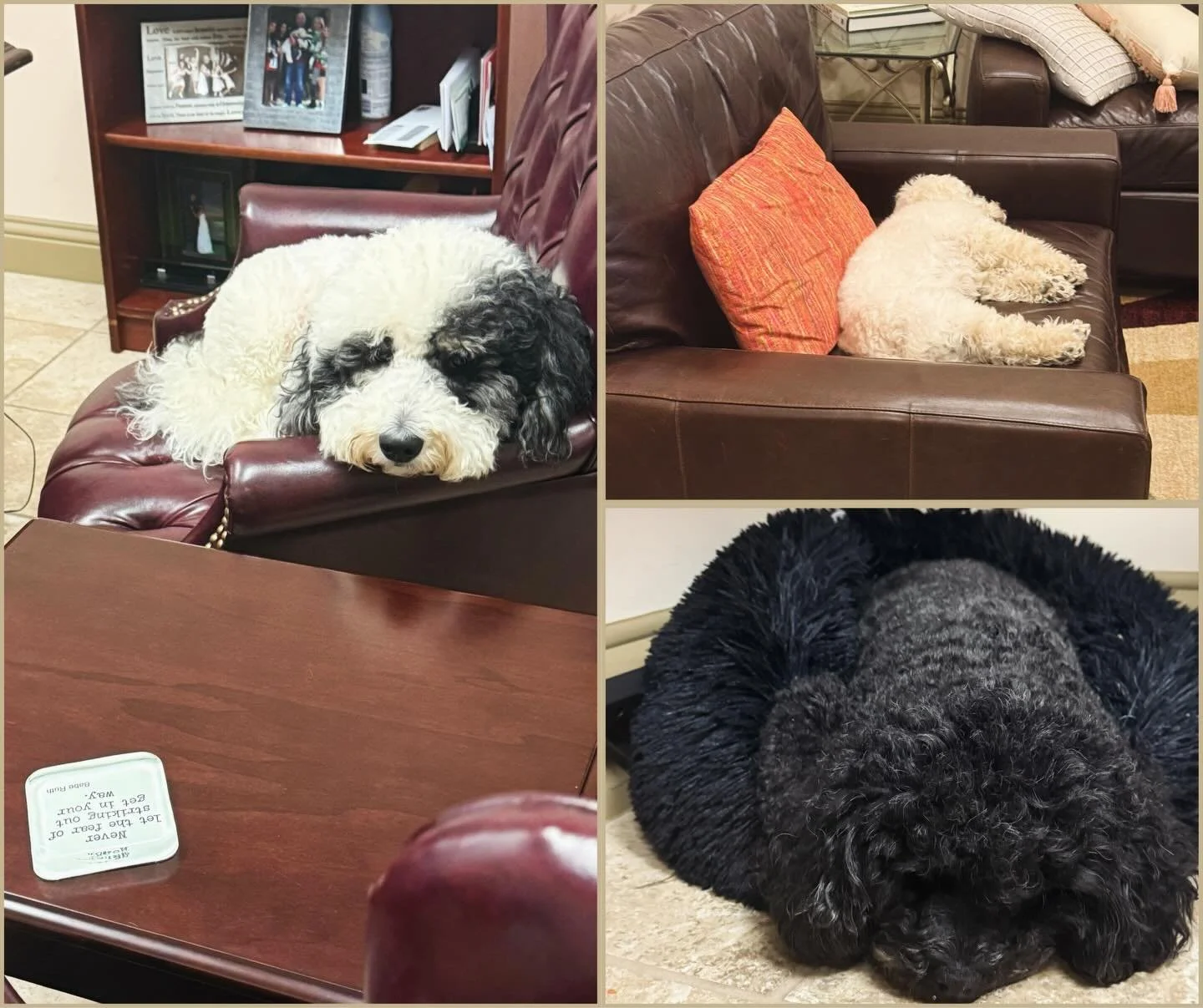 Office &ldquo;helpers&rdquo;.