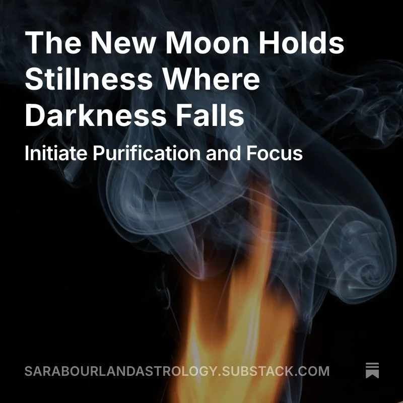 Friday is the Aries New Moon. Currently, the stellium of planets (several clustered together) in the sign of Aries is heady. Neptune, Mercury, Mars, and Saturn speak to what we are seeing in the political sphere. On the world stage, we are seeing war