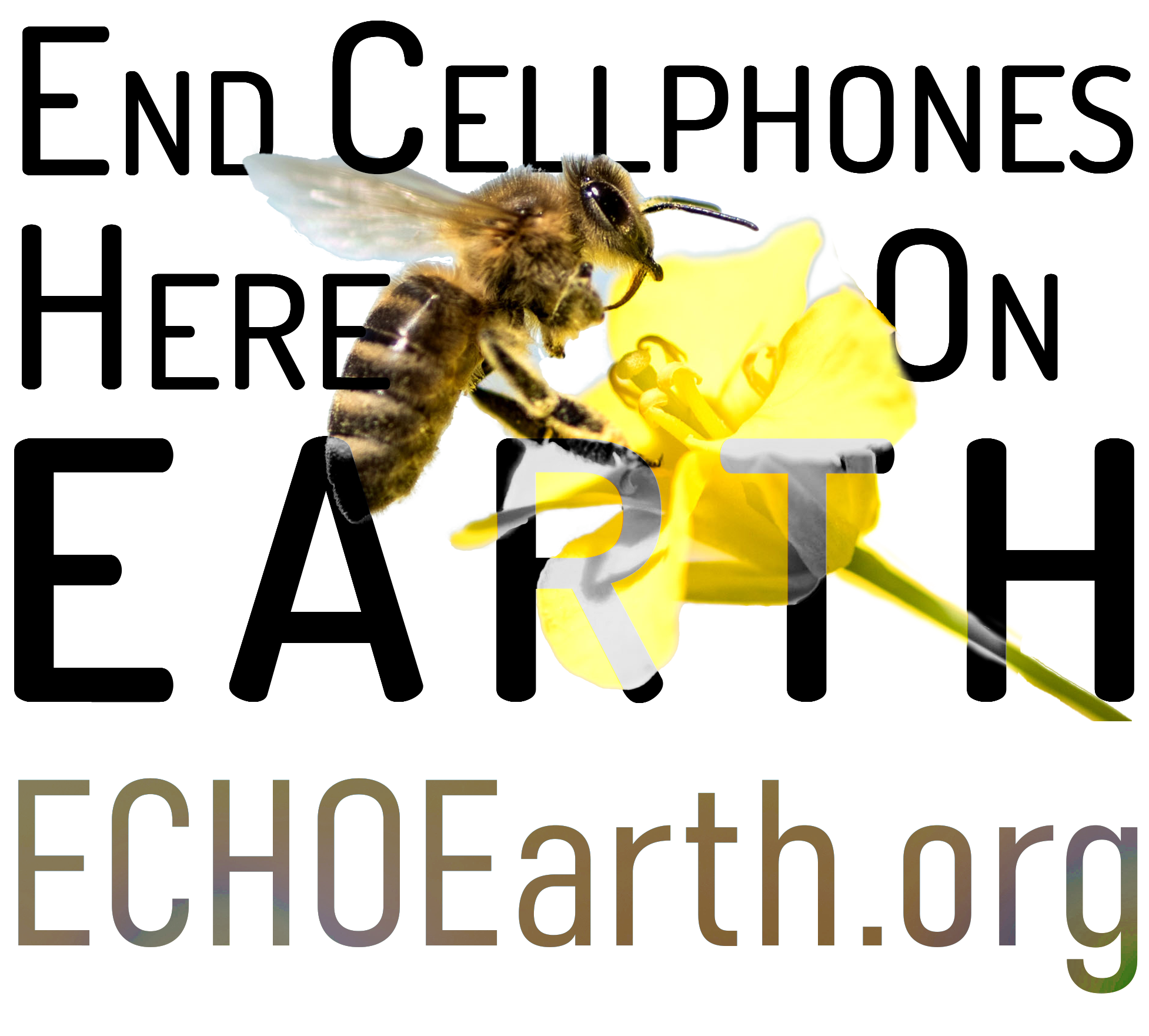 ECHOEarth.org (End Cellphones Here on Earth)