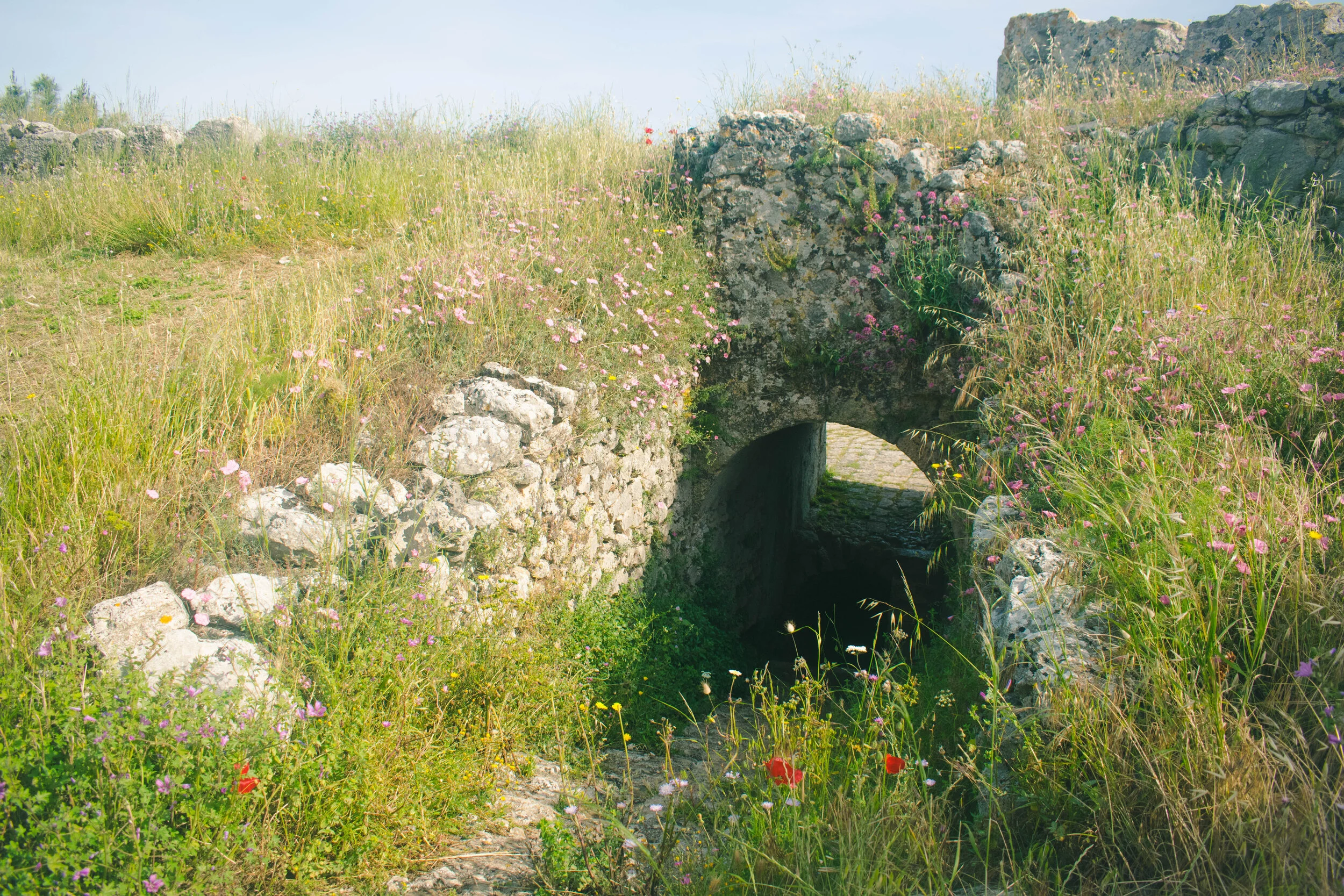 DSC_0142.jpg
