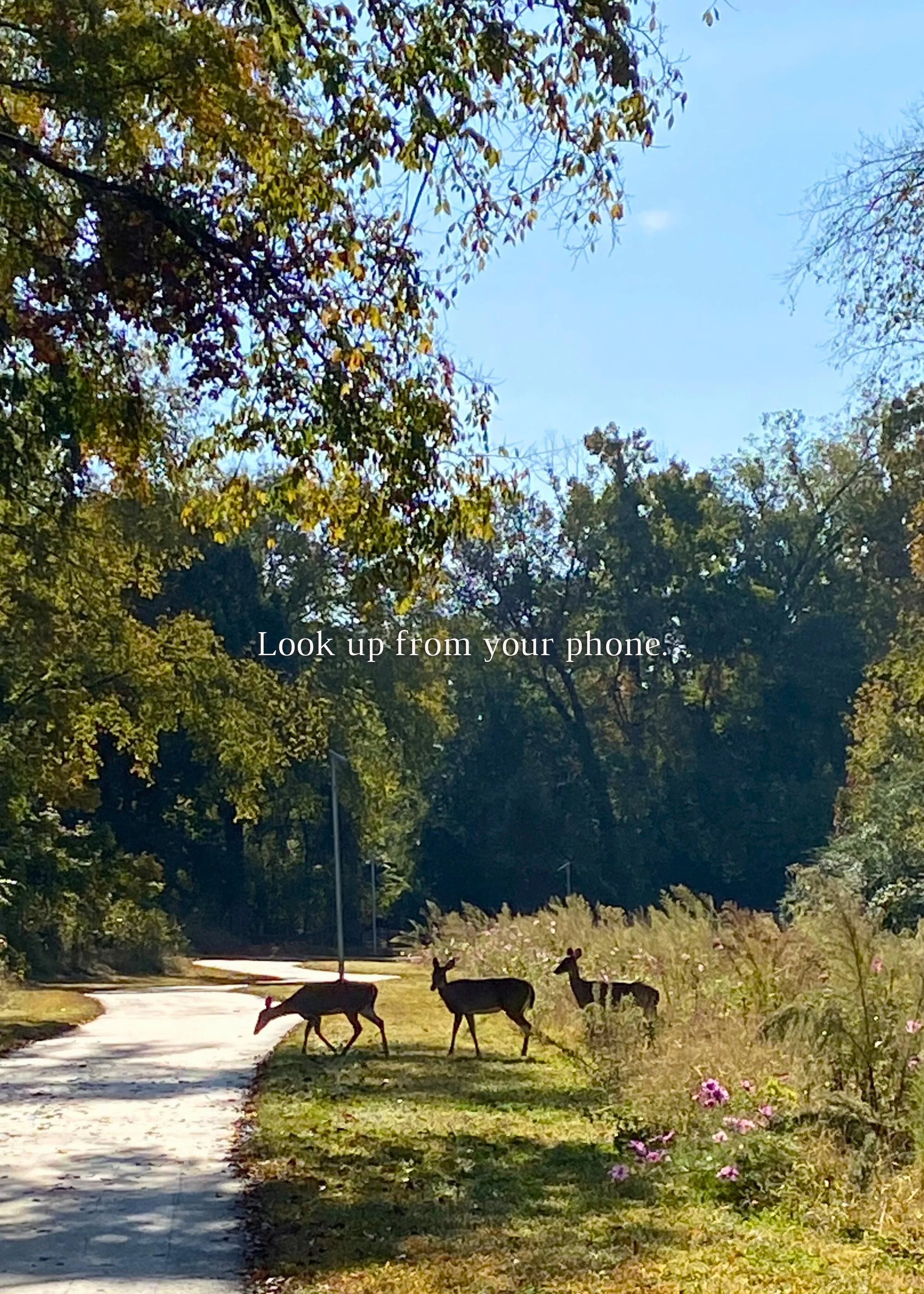 North Carolina