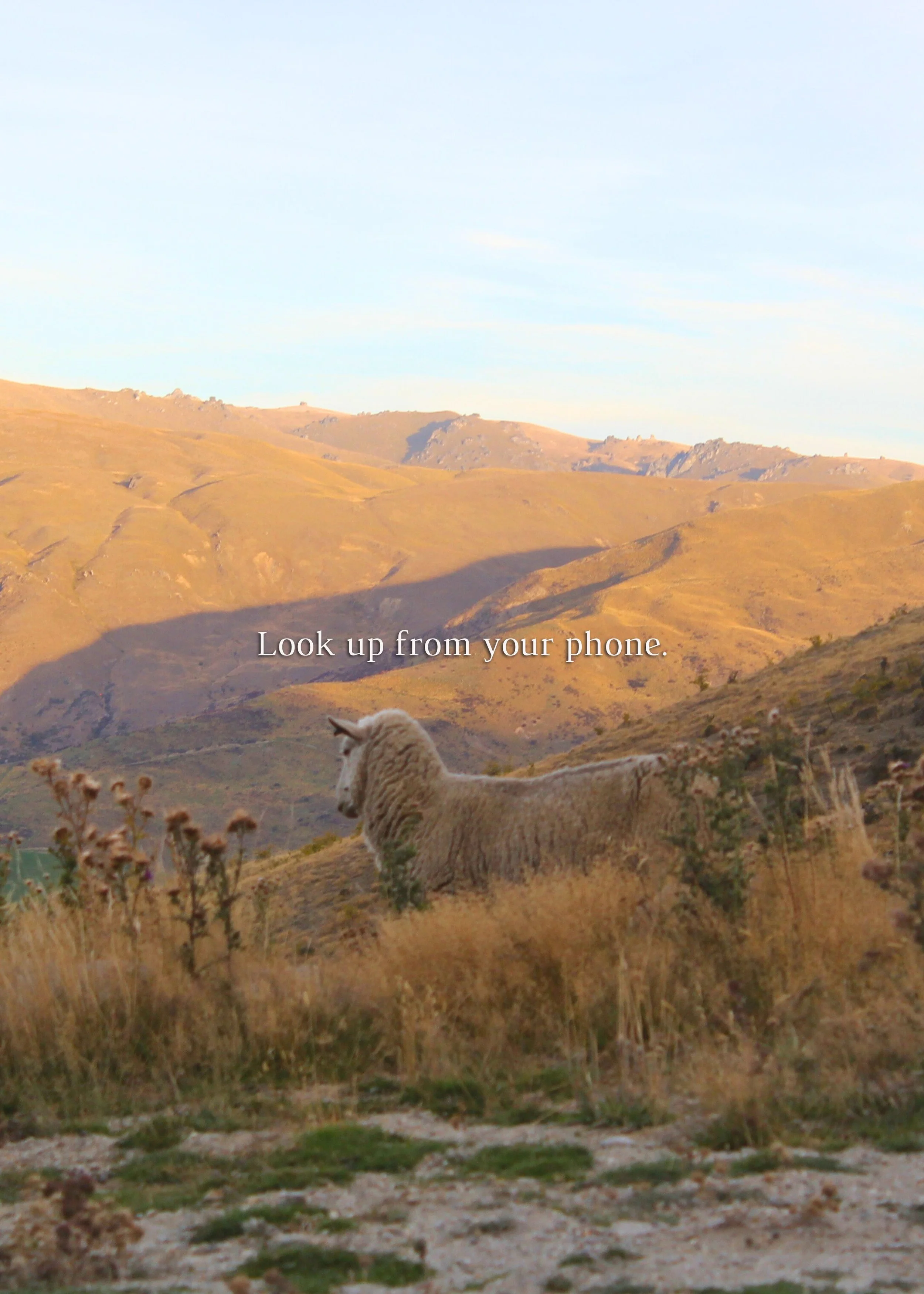 New Zealand