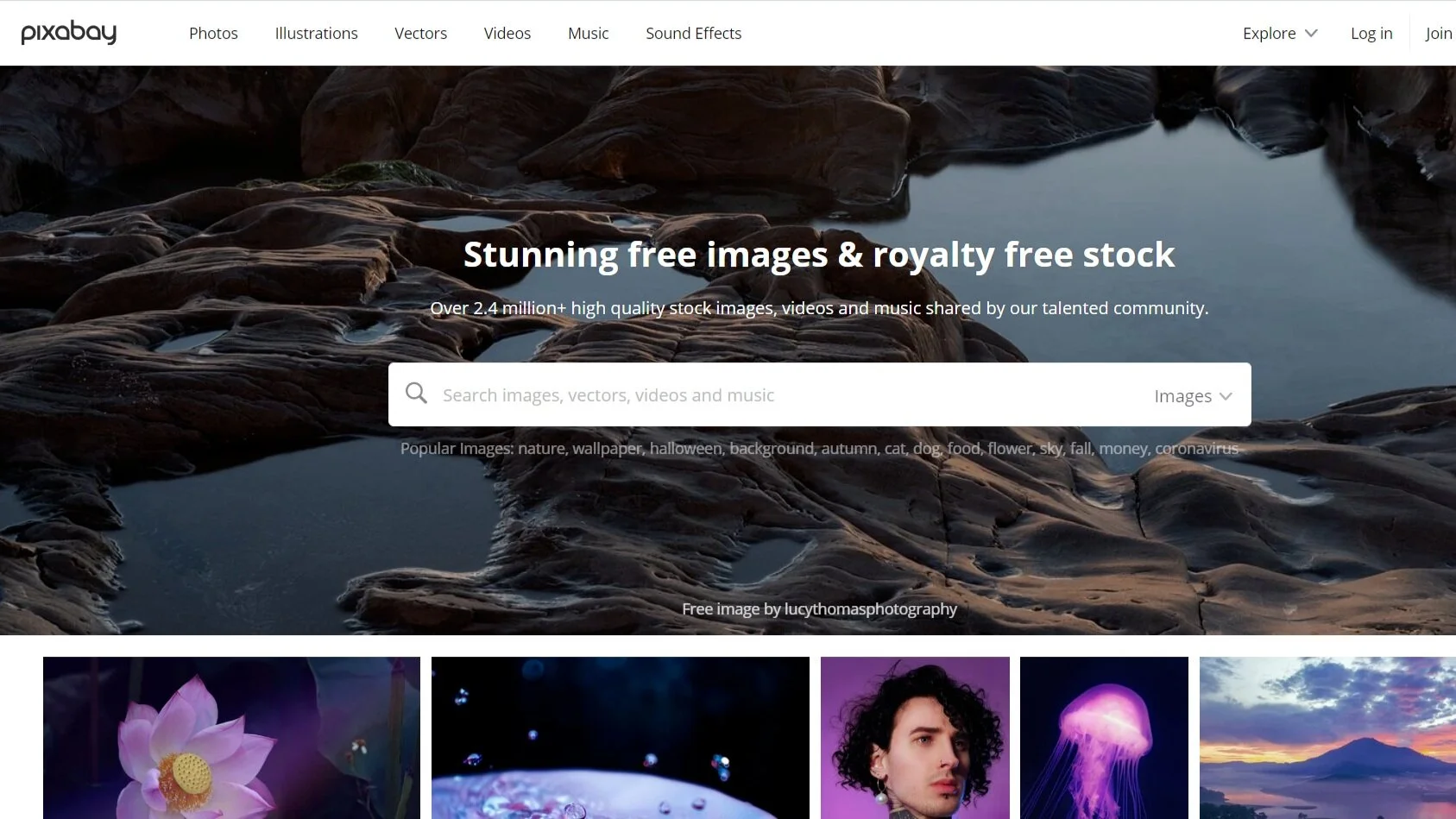 7 Essential & Free Online Branding Tools for your Business — Savage