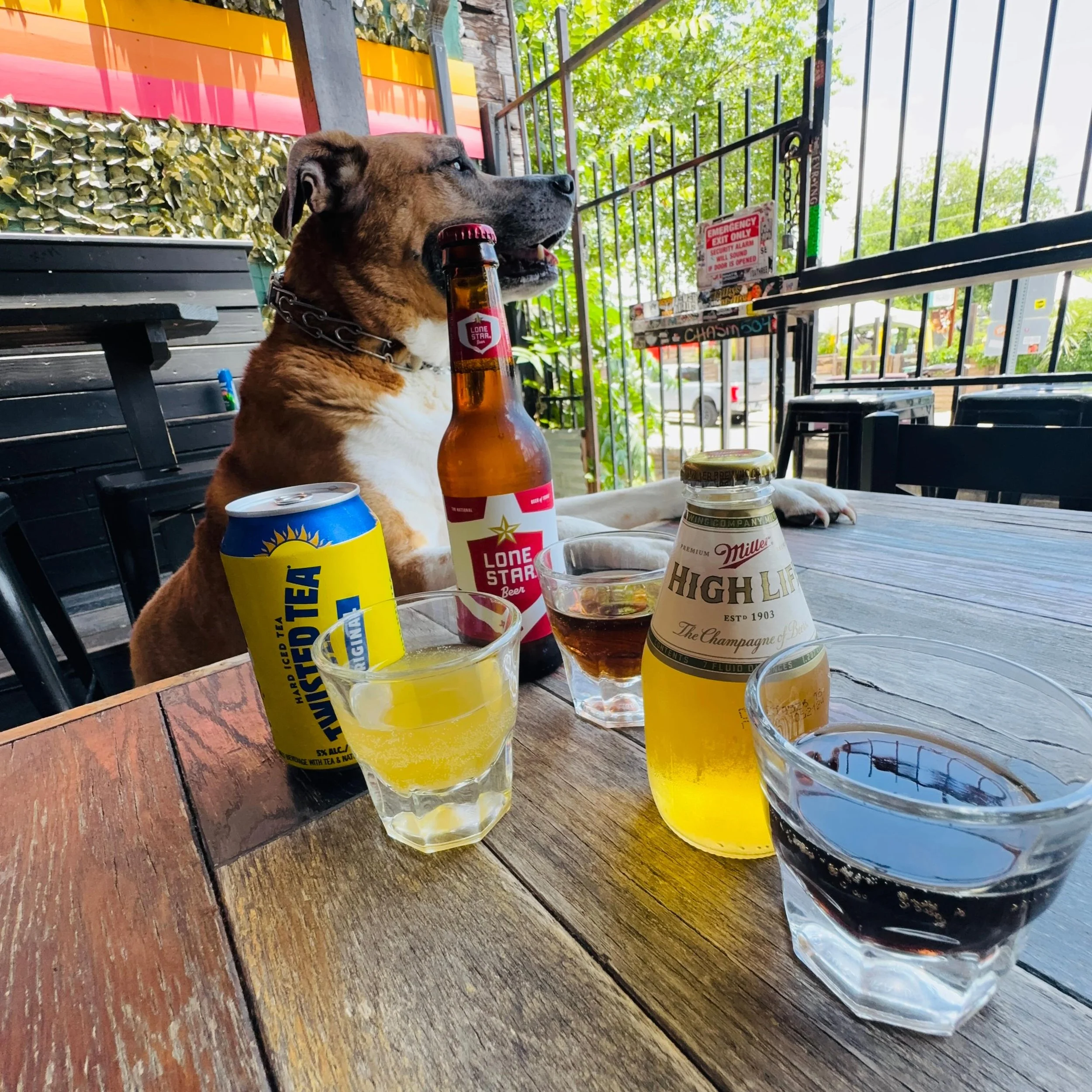 Our $10 beer &amp; shot combos could and would make your summer cool 😎 &mdash; 

Ｔｈｅ Ｄｏｗｎ Ｌｏｗ
Lone Star + whiskey

Ｃｈｏｐｐ&rsquo;ｄ &amp; Ｓｃｒｅｗ&rsquo;ｄ
High Life Pony + Montenegro

Ｔｙｐｅ Ｓｈｉｔ
Twisted Tea &amp; Malort

(Stevie Licks approves this post)