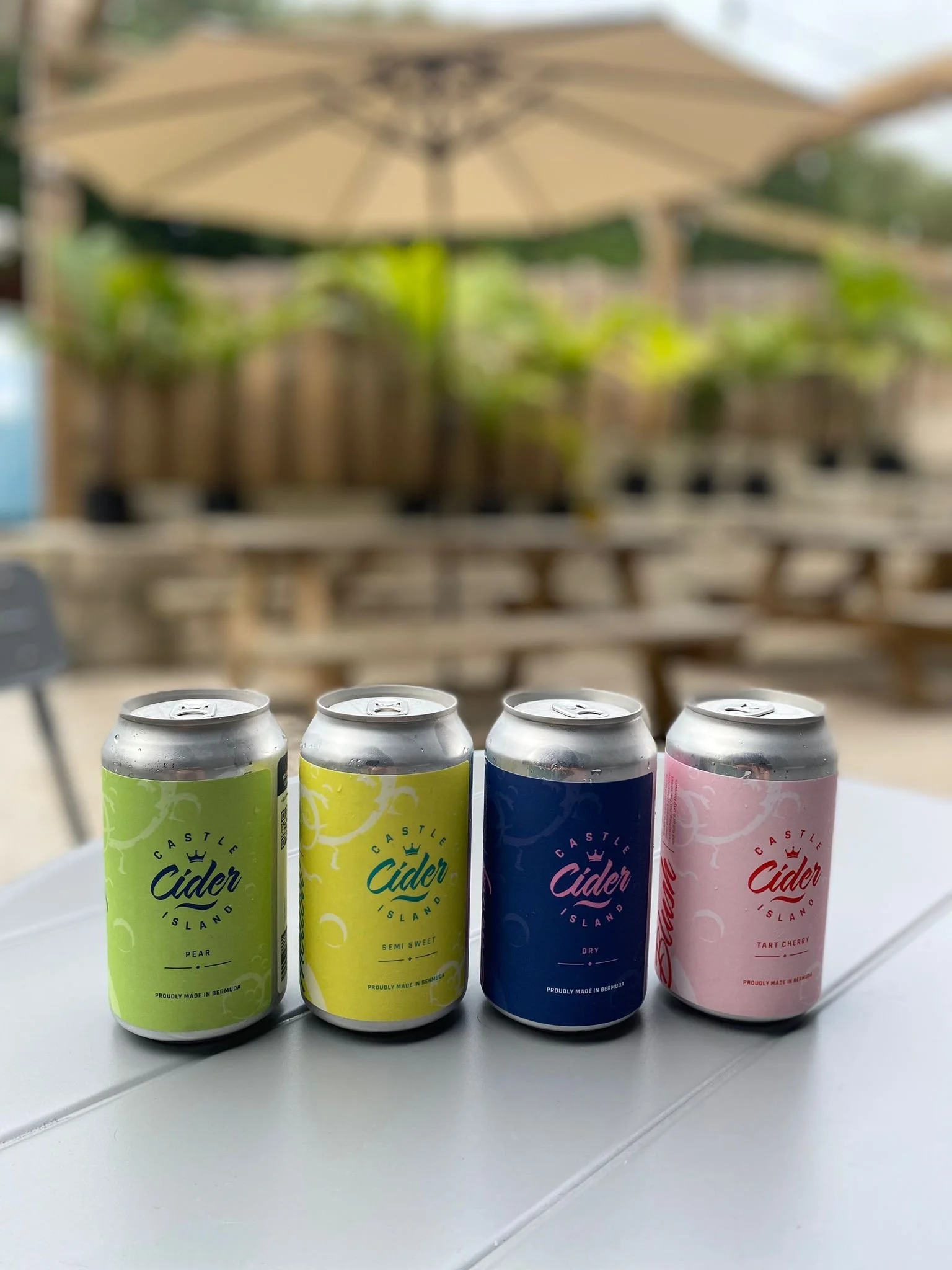 Four cans of cider on a white table outdoors, with a blurred background of wooden picnic tables, a canopy umbrella, and greenery