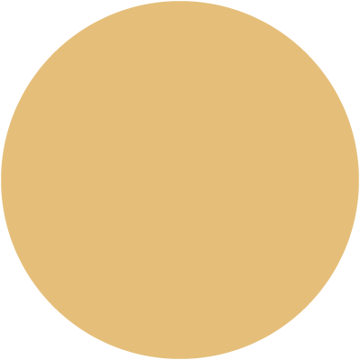 Tan
HEX: #E5C07A
CMYK: 10%, 24%, 61%, 0%
RGB: 228, 191, 121