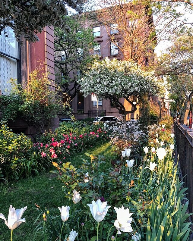 This garden, accompanied by its majestic brownstone built in the 1800&rsquo;s, exists just footsteps from one of the most impressive views of the New York City skyline. It just might be one of the most splendid places in the world.