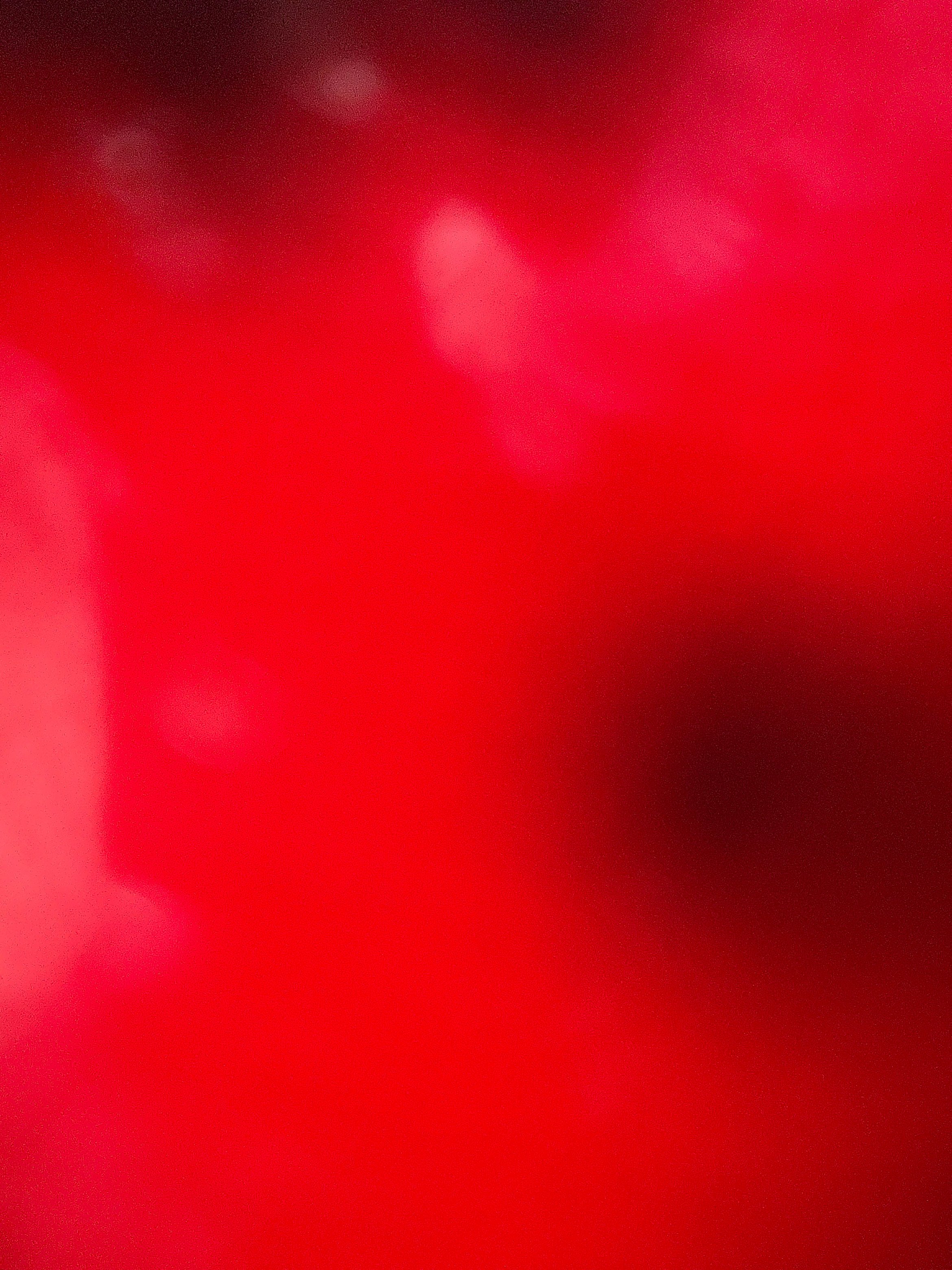 'Untitled' Photograph