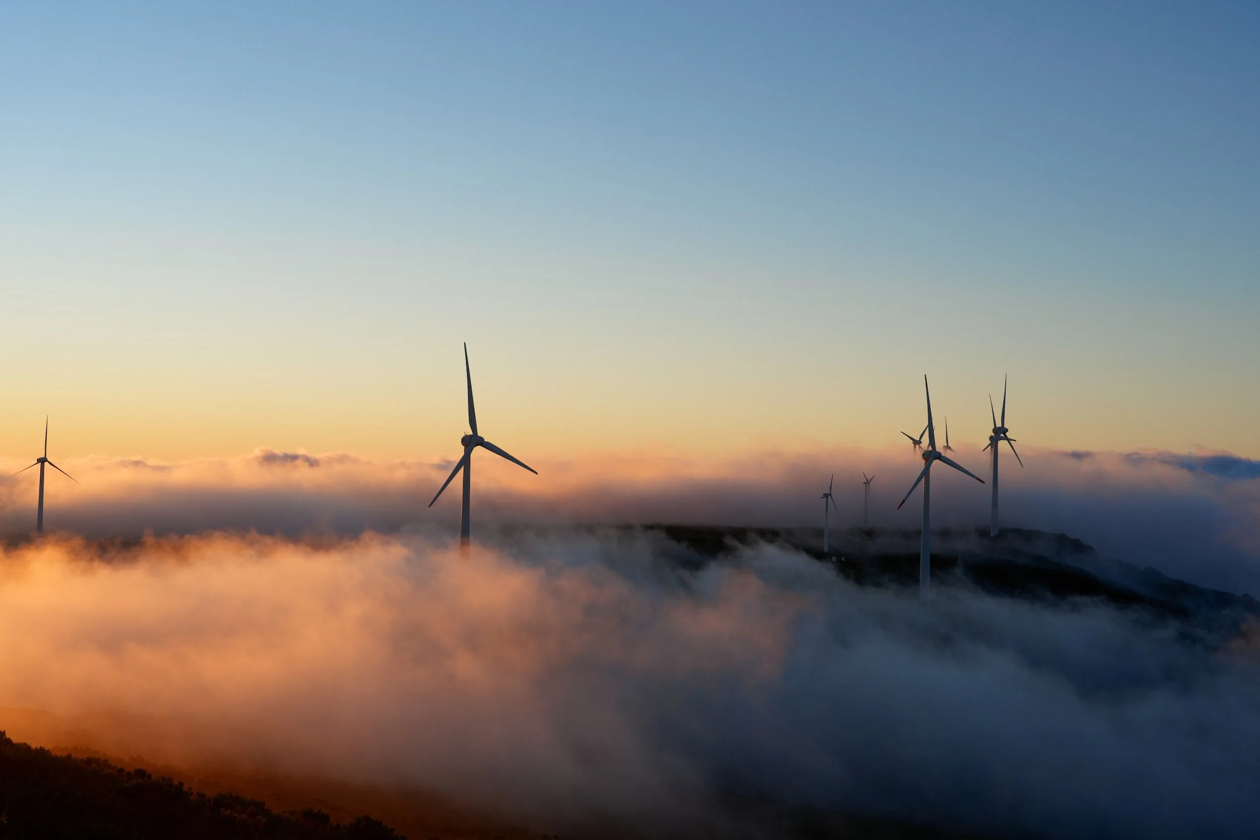 From Other Environmental Groups (January)