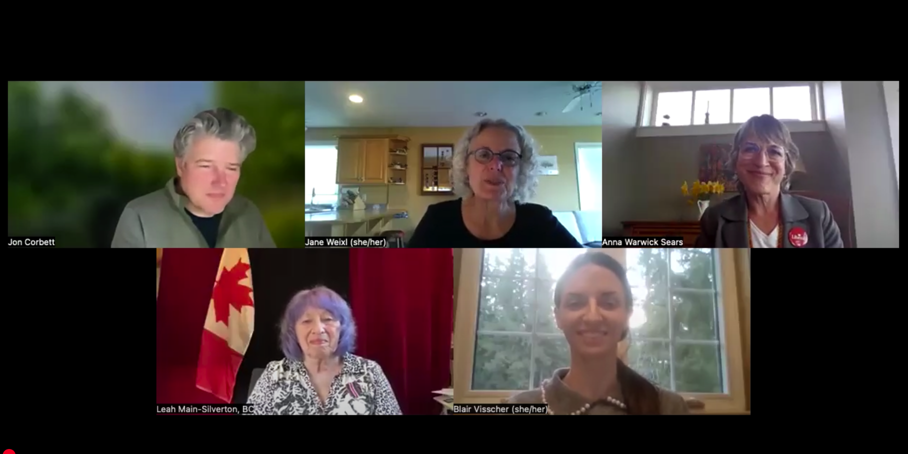 Zoom Recording of Virtual All Candidates' Forum on Climate and the Environment