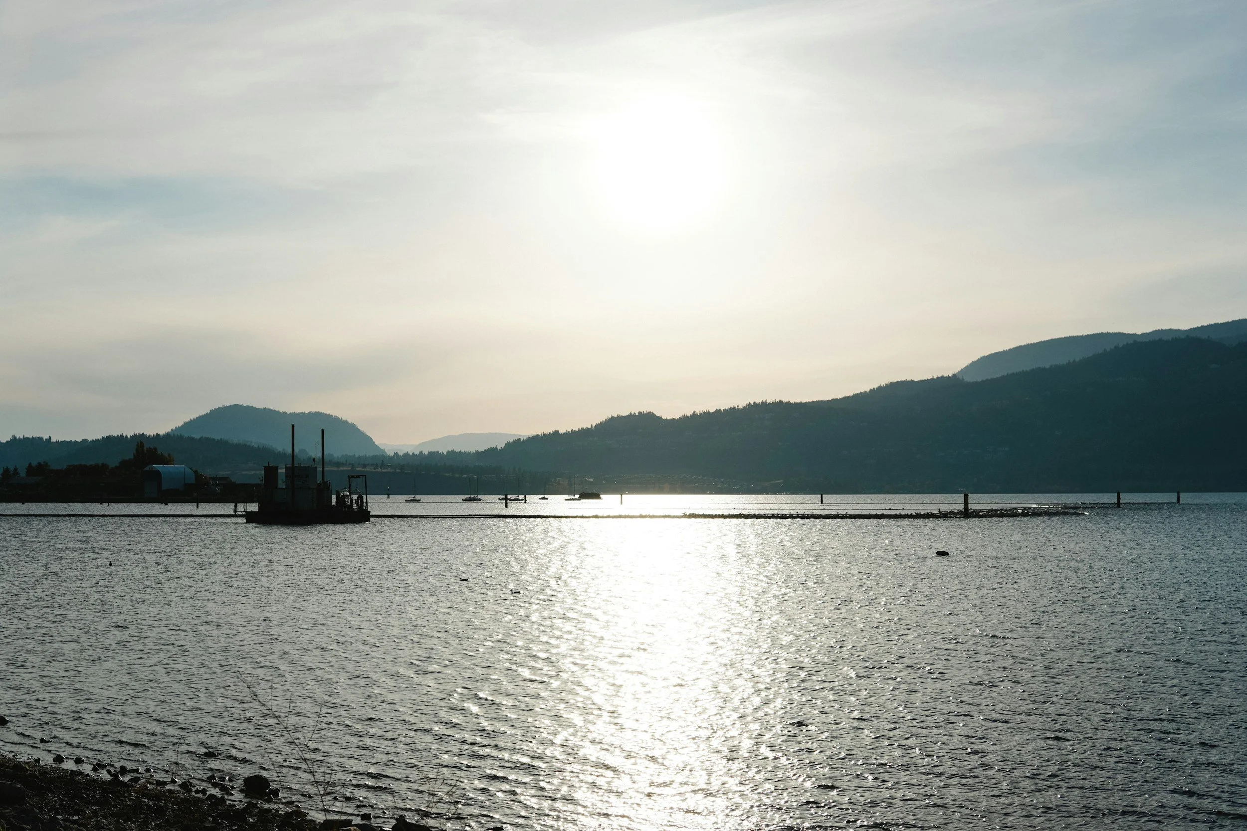 Local &amp; Provincial Items (February)