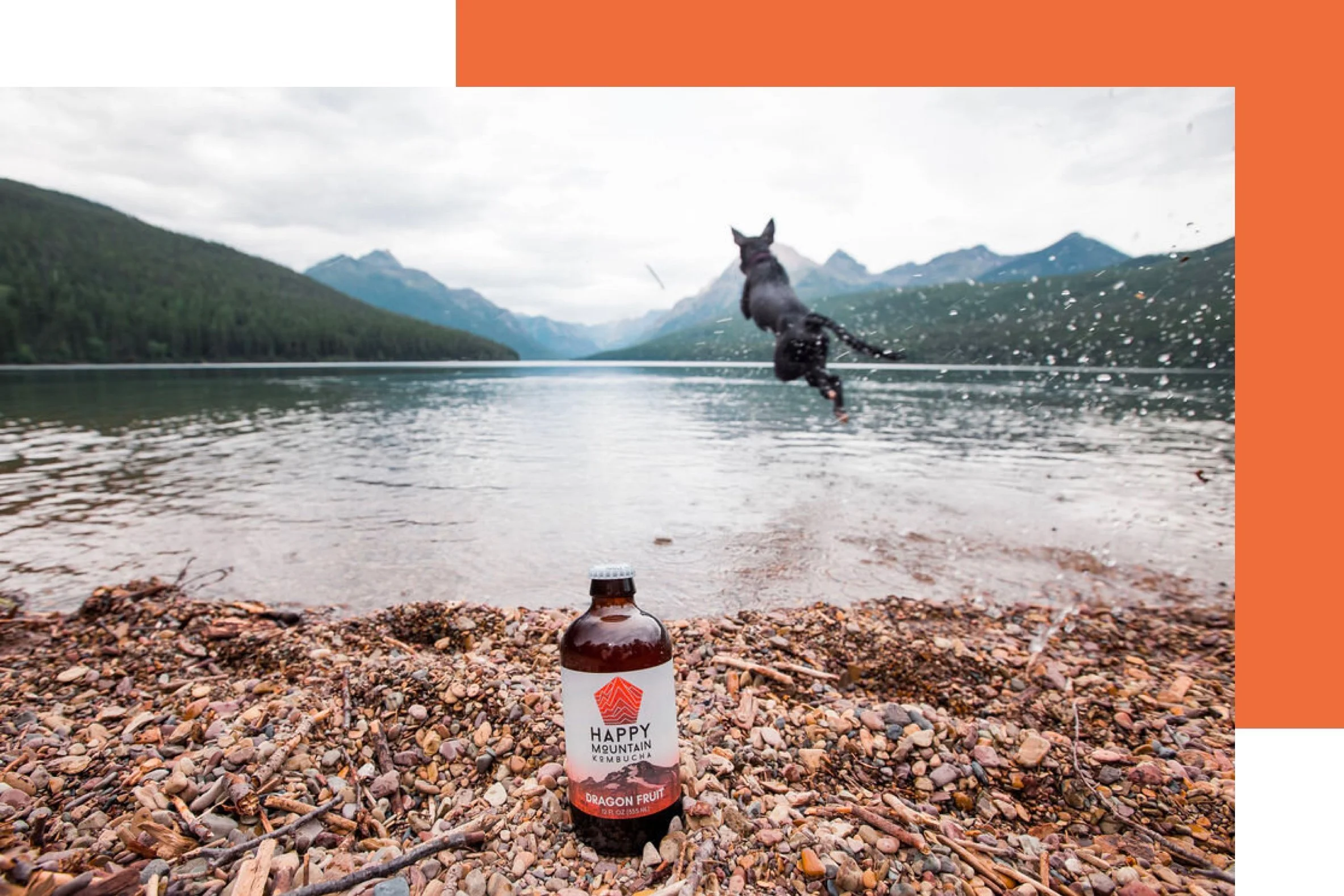 Say hello to our adventurous new client Happy Mountain Kombucha! 