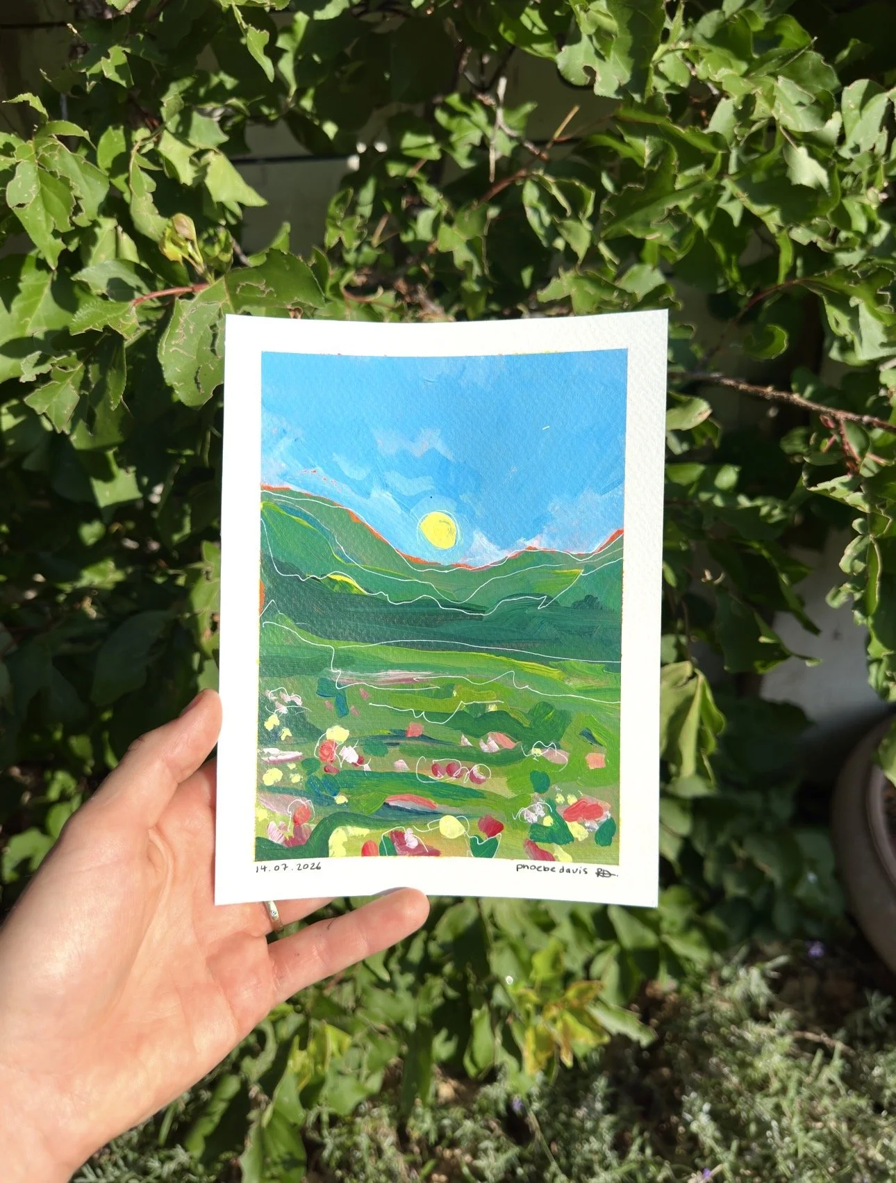 alpine flow #2