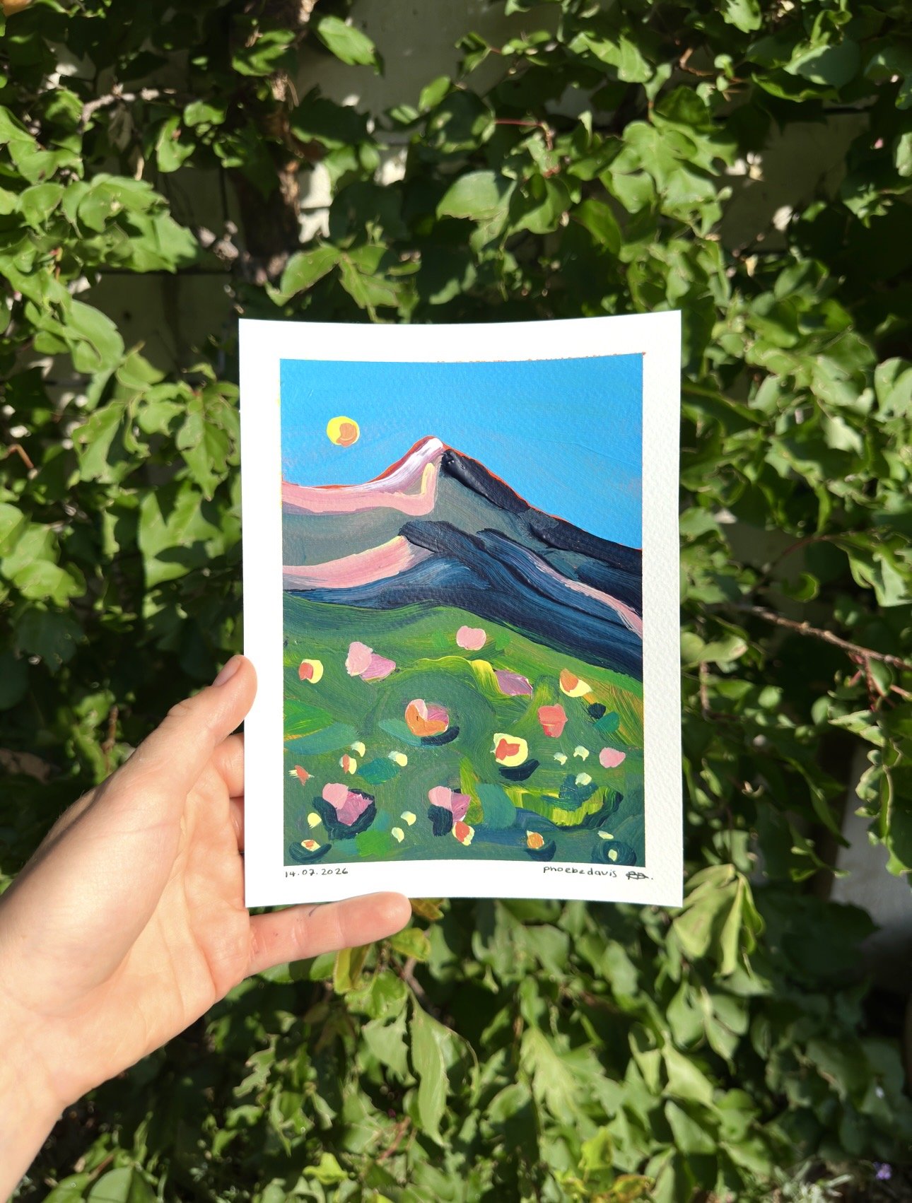 alpine flow #3