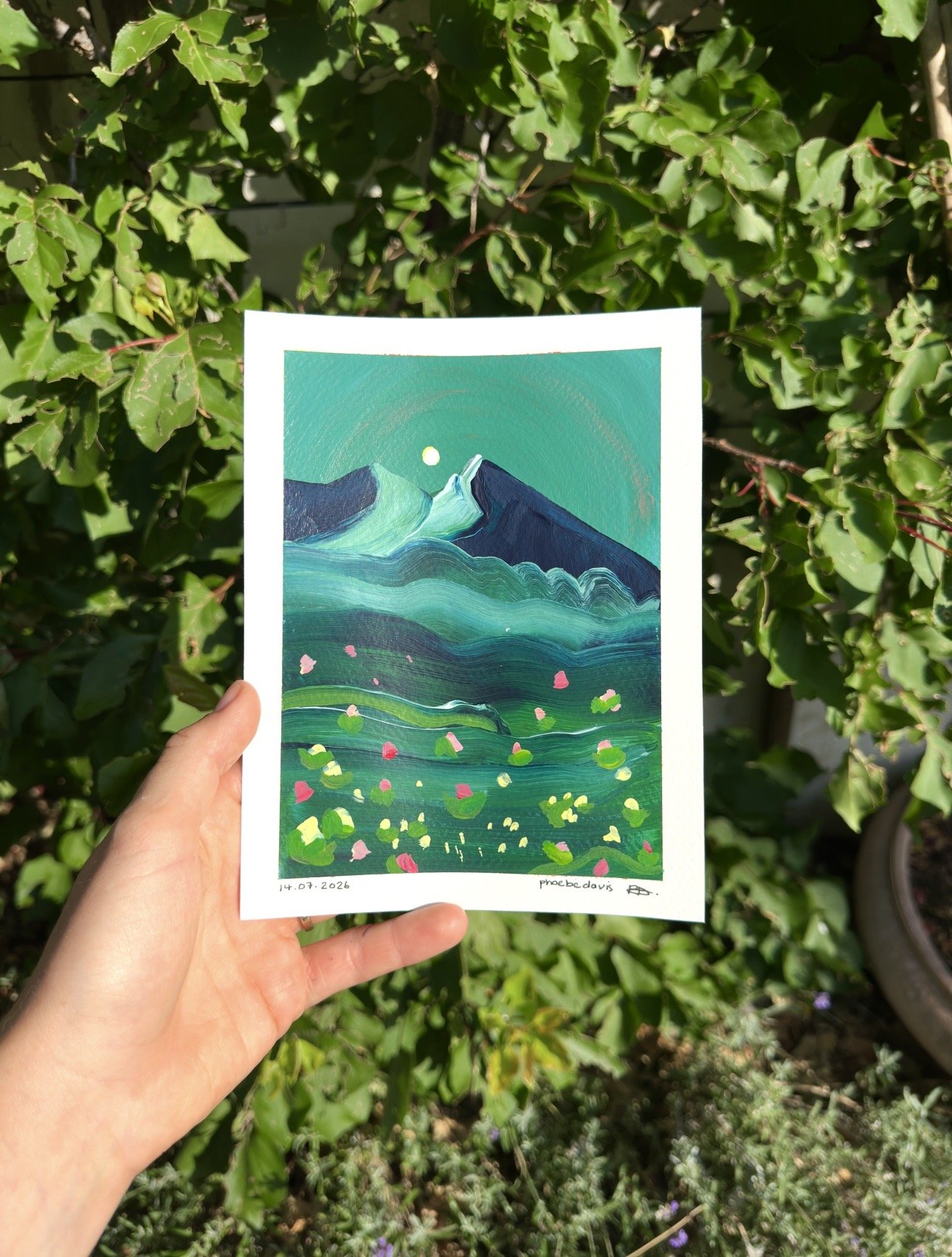 alpine flow #7