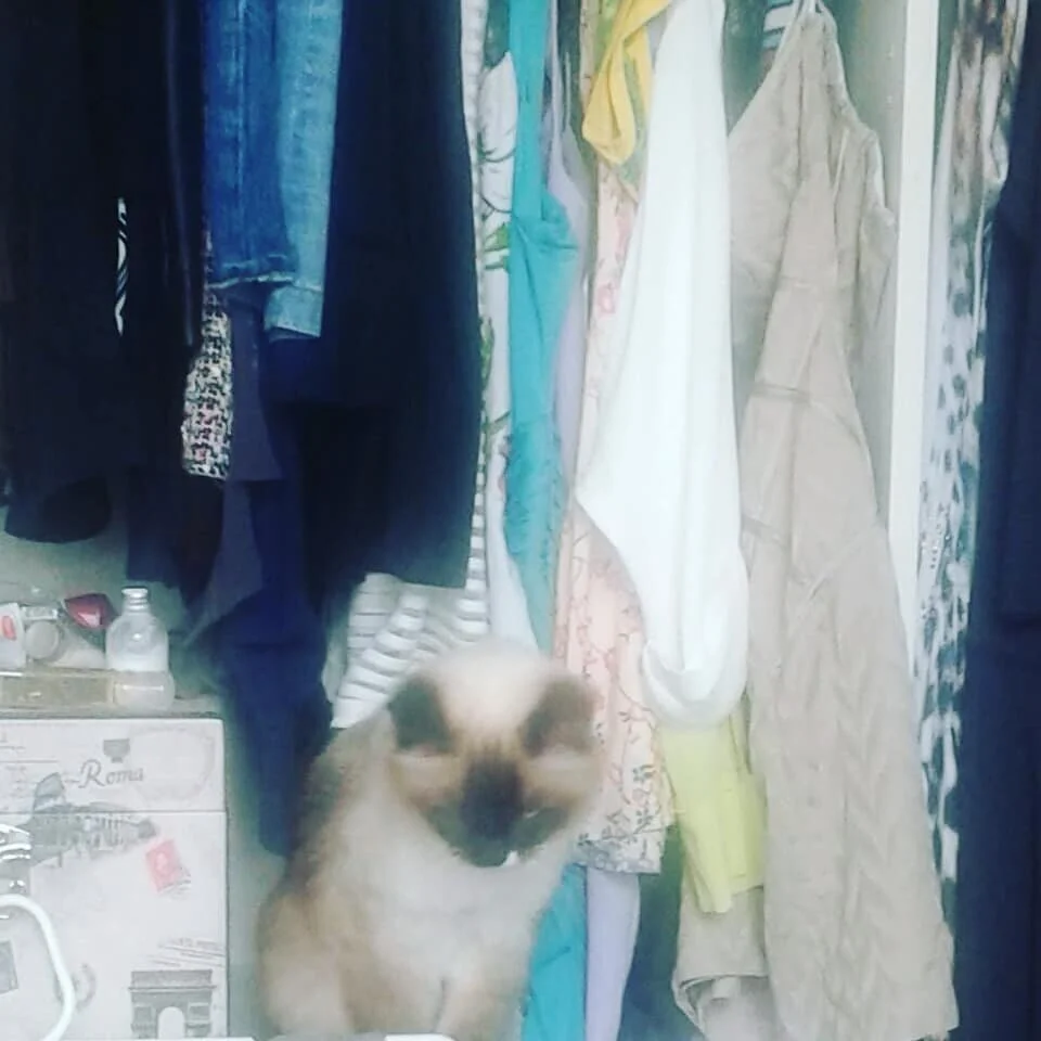 Having trouble deciding what to wear?