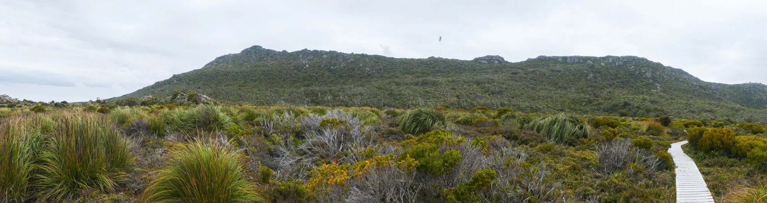 Lake Osbourne Scenary Panarama.jpg