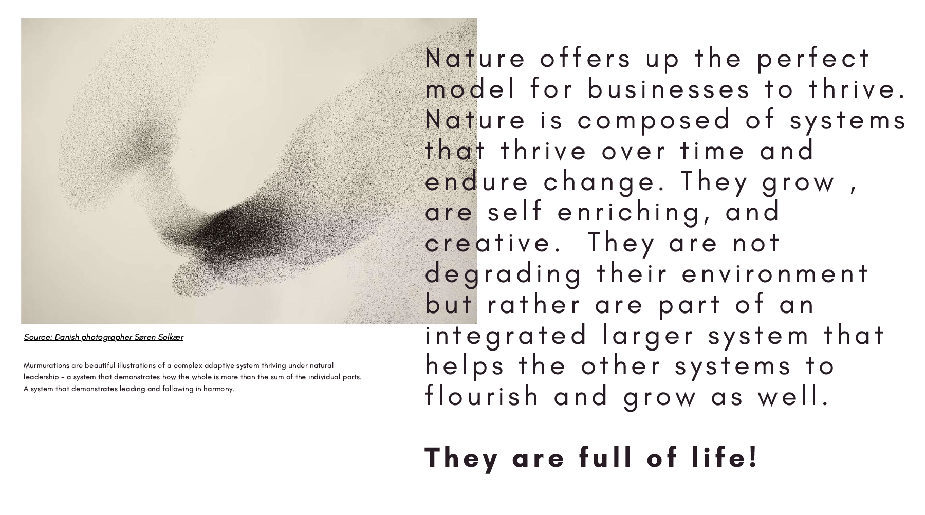 Screen Shot 2021-02-27 at 7.54.45 AM.png