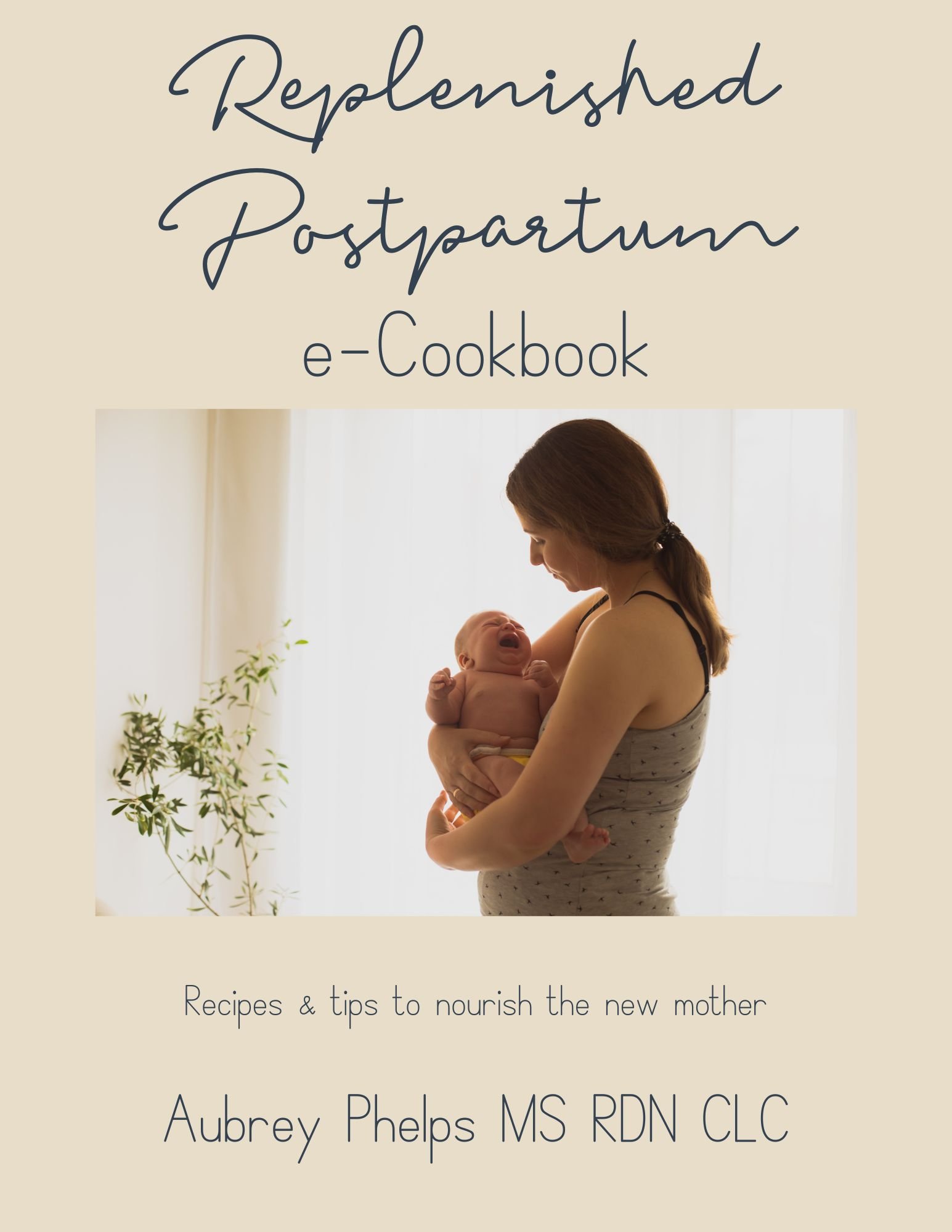 Replenished Postpartum e-Cookbook.jpg