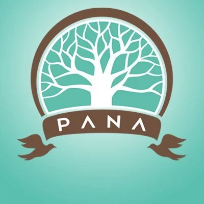 Progressive Asian Network for Action