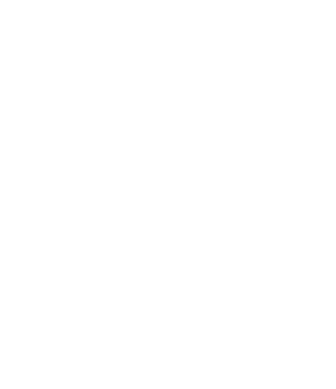 The Rix The Rix