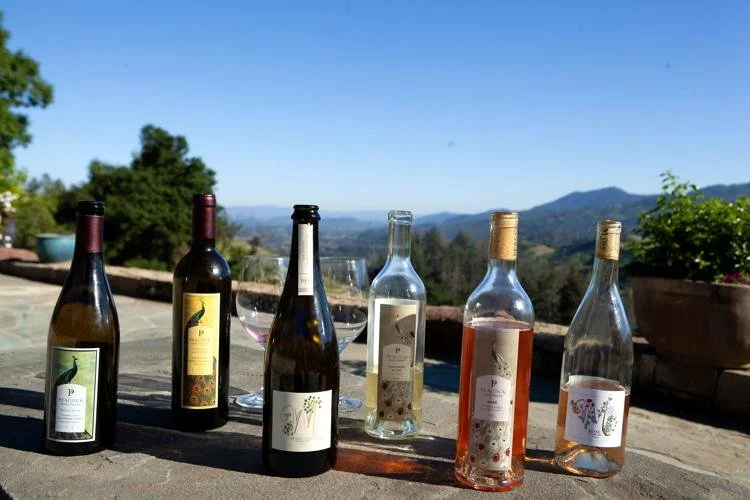  A selection of wines from Peacock Family Vineyard and M Vino Wines, with their new joint venture NVP Sparkling in the center. 